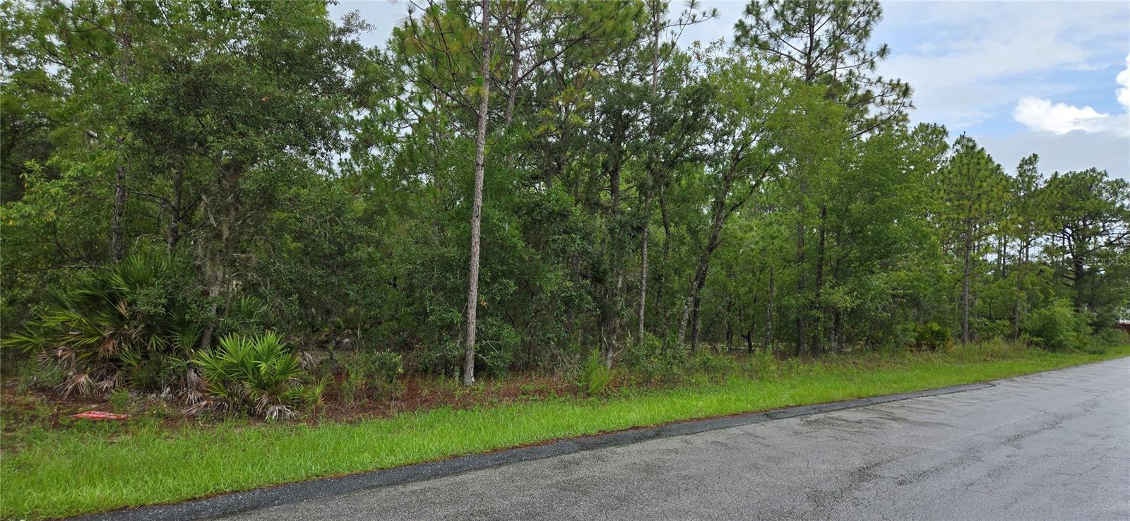 1308 N PROSPECT AVE, LECANTO, FL, 34461