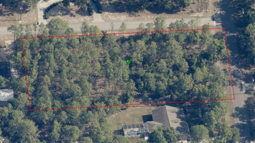 1308 N PROSPECT AVE, LECANTO, FL, 34461