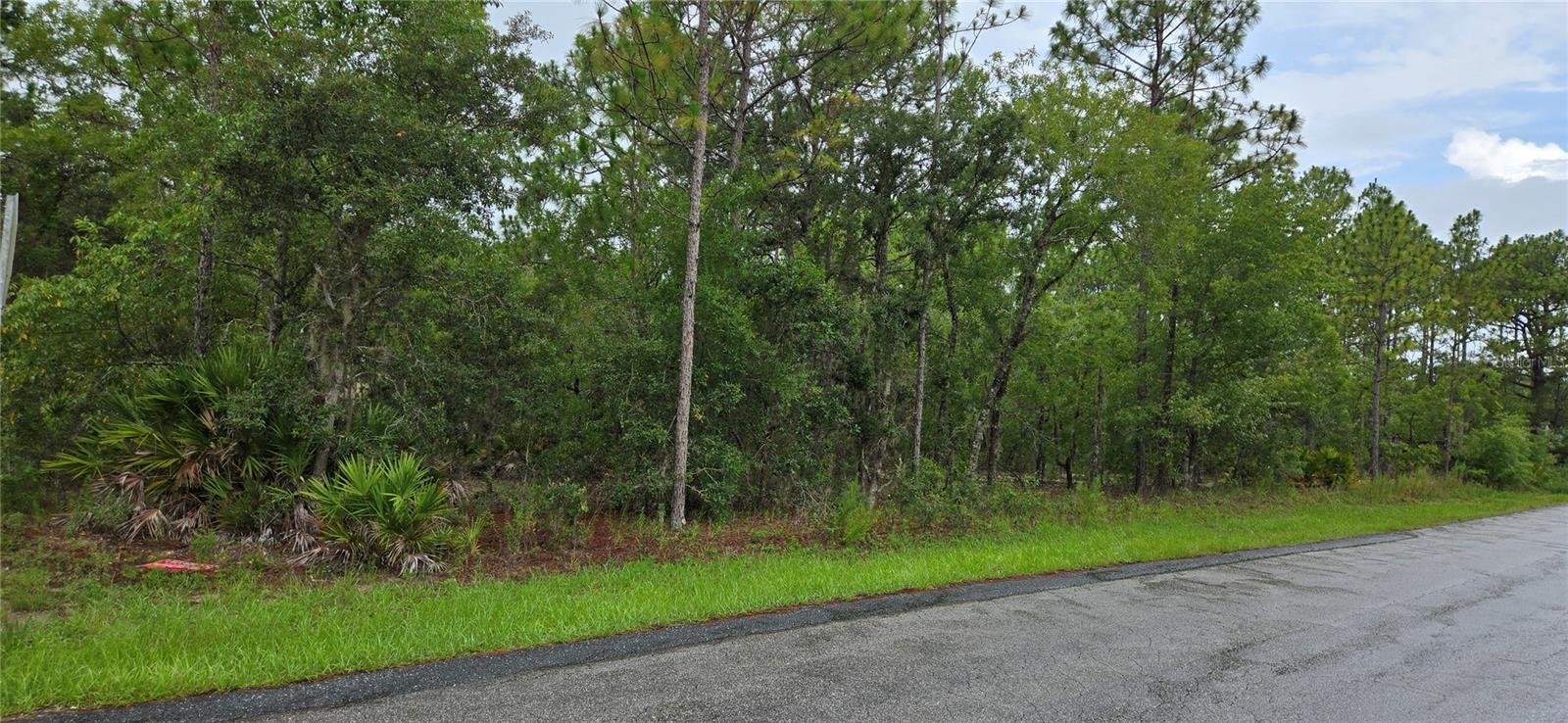 1308 N PROSPECT AVE, LECANTO, FL, 34461