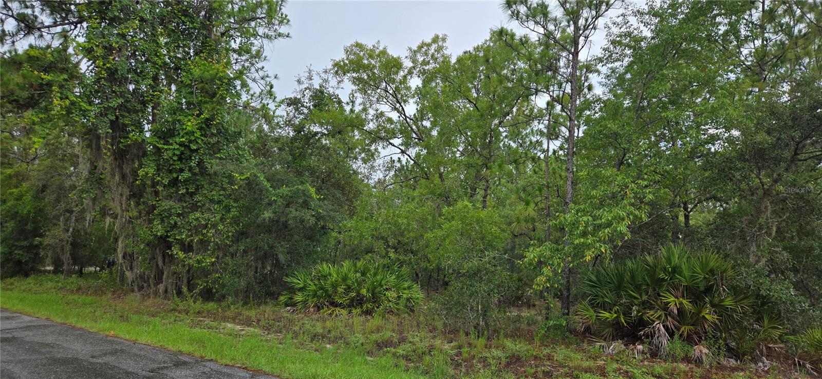 1308 N PROSPECT AVE, LECANTO, FL, 34461