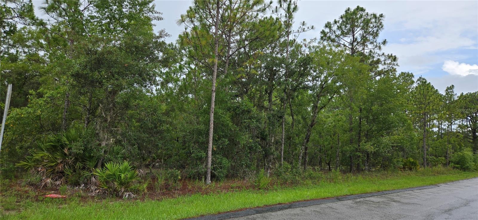 1308 N PROSPECT AVE, LECANTO, FL, 34461