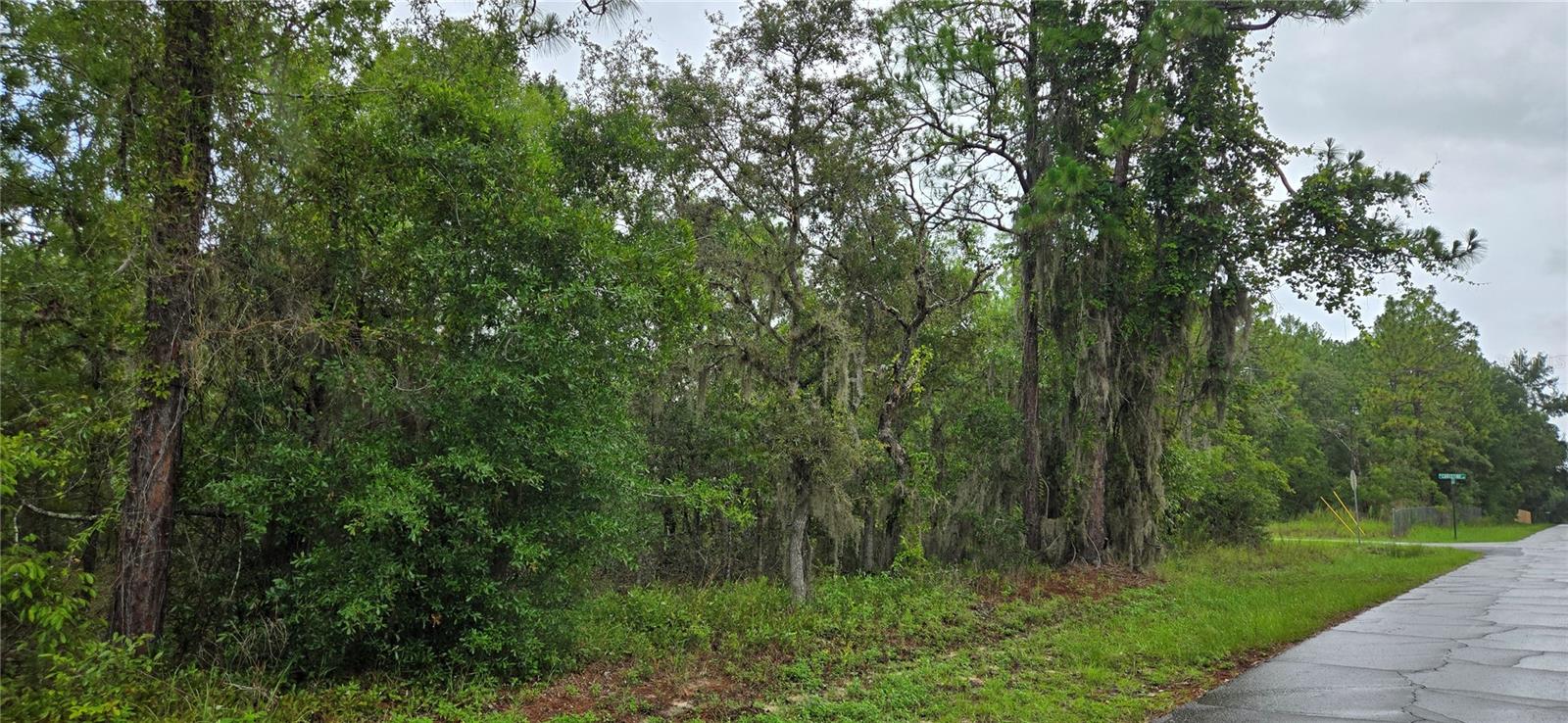 1308 N PROSPECT AVE, LECANTO, FL, 34461