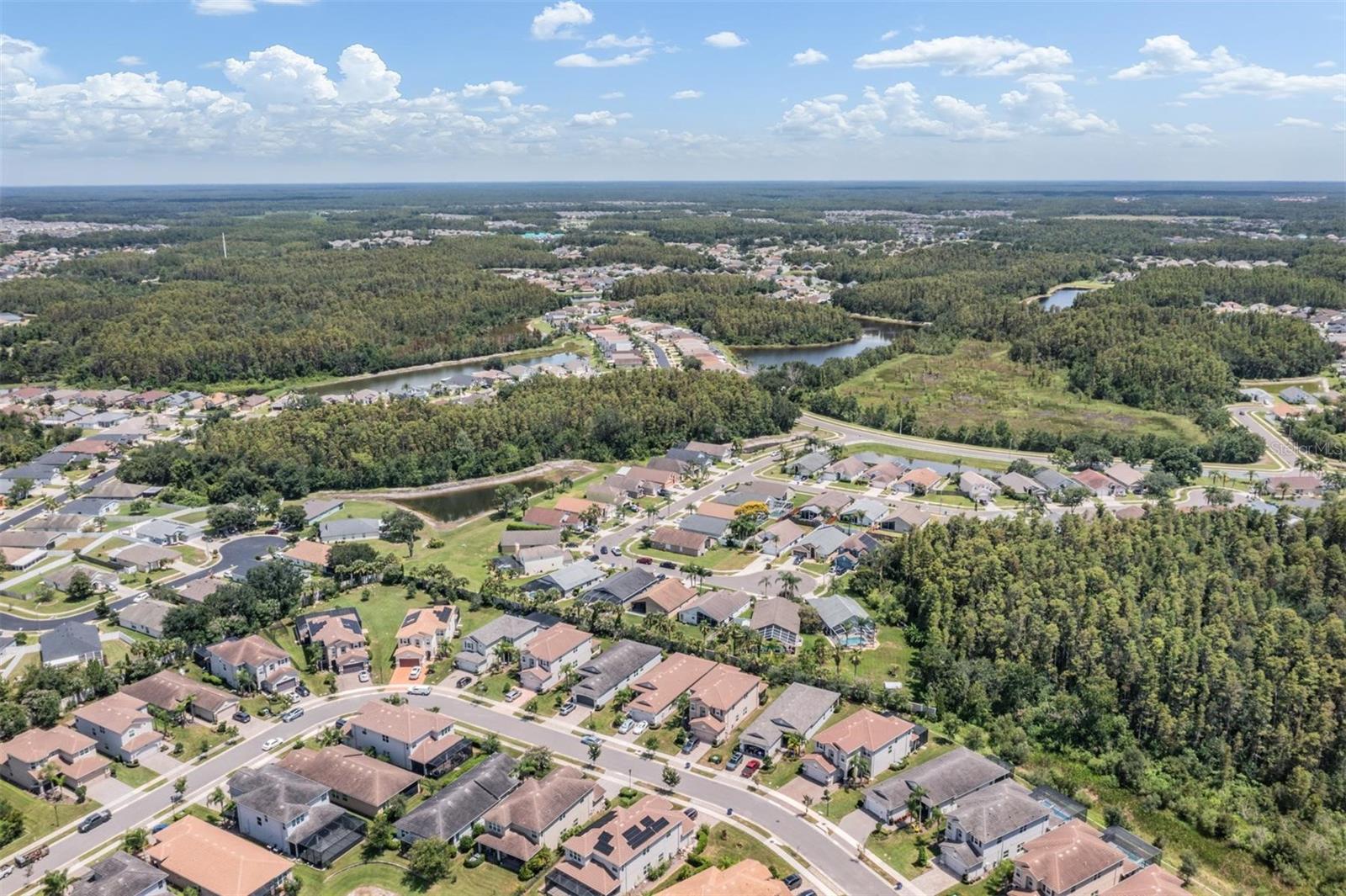 1948 BLANCHARD CT, WESLEY CHAPEL, FL, 33543