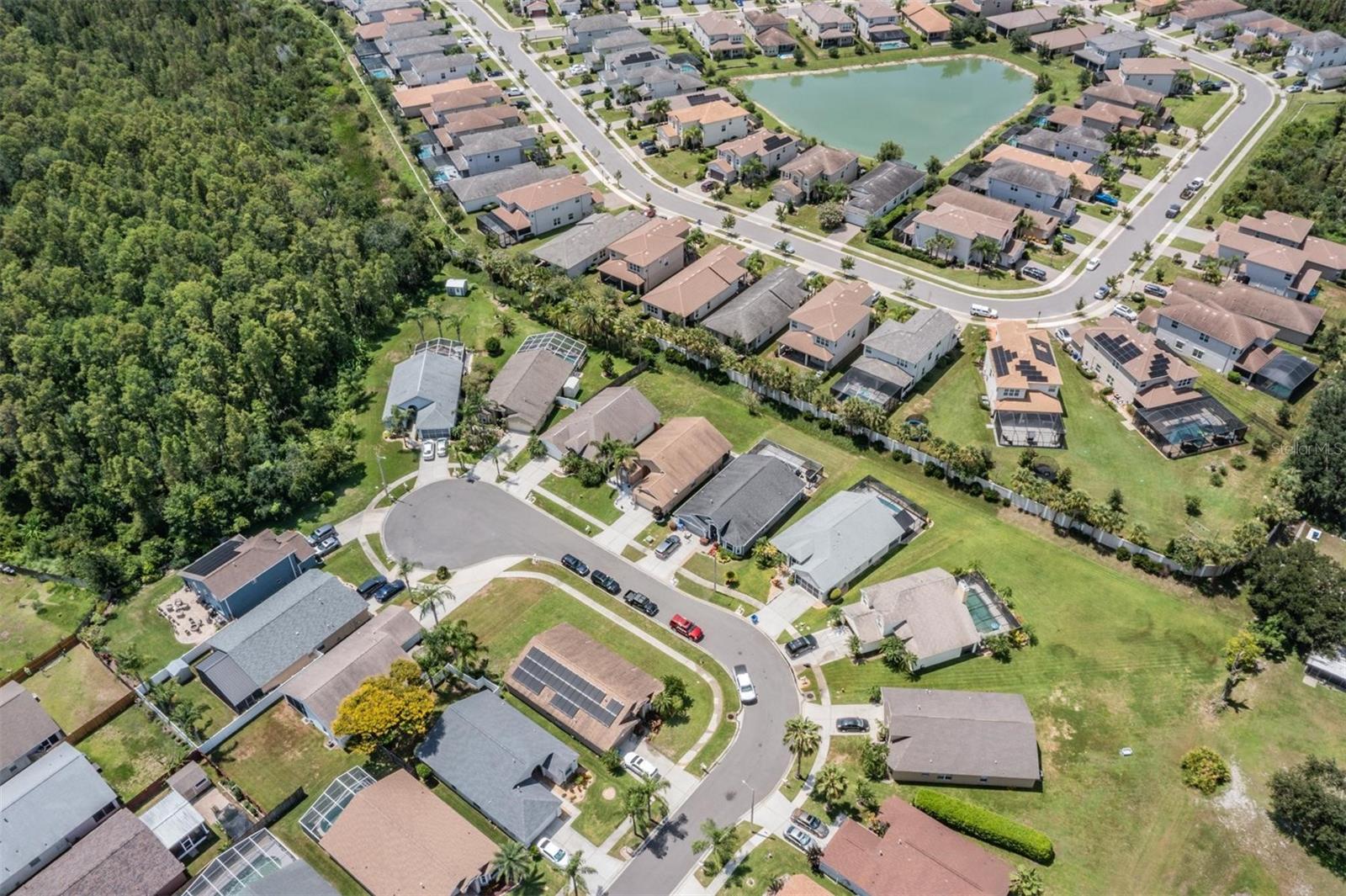 1948 BLANCHARD CT, WESLEY CHAPEL, FL, 33543