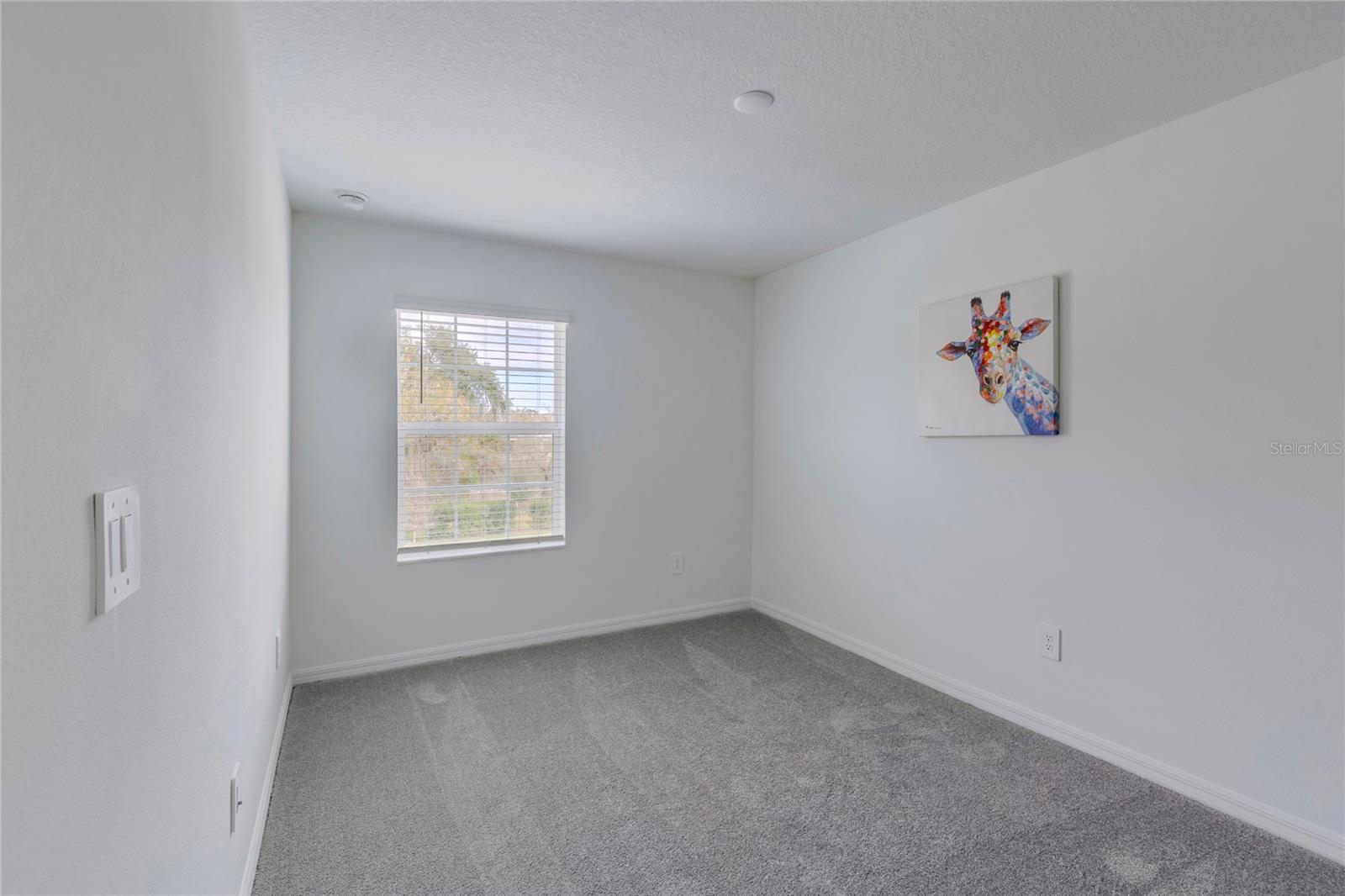 11087 WISHING CLOUD RD, LAND O LAKES, FL, 34638