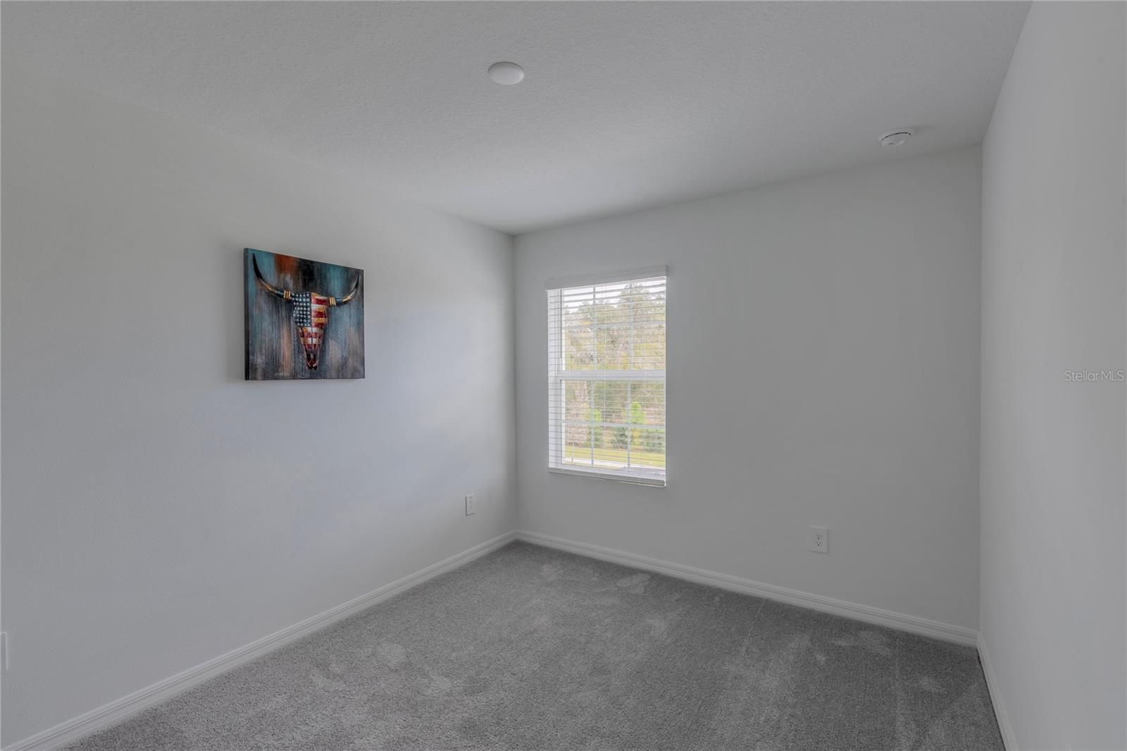 11087 WISHING CLOUD RD, LAND O LAKES, FL, 34638