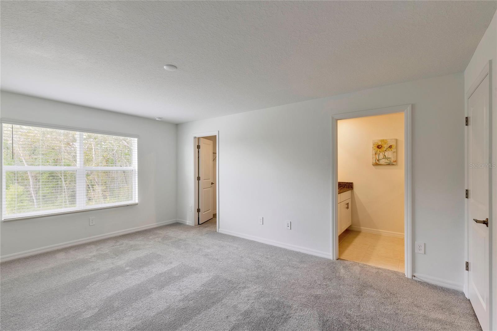 11087 WISHING CLOUD RD, LAND O LAKES, FL, 34638