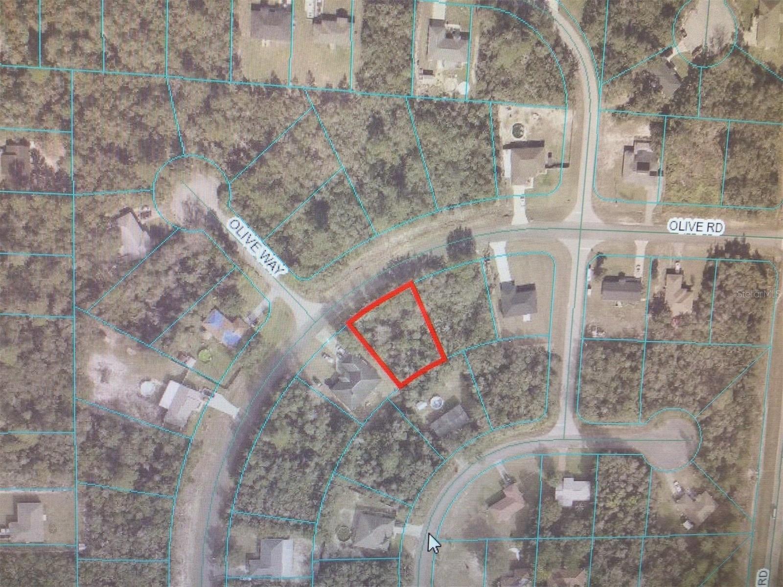 0 OLIVE RD, OCALA, FL, 34473