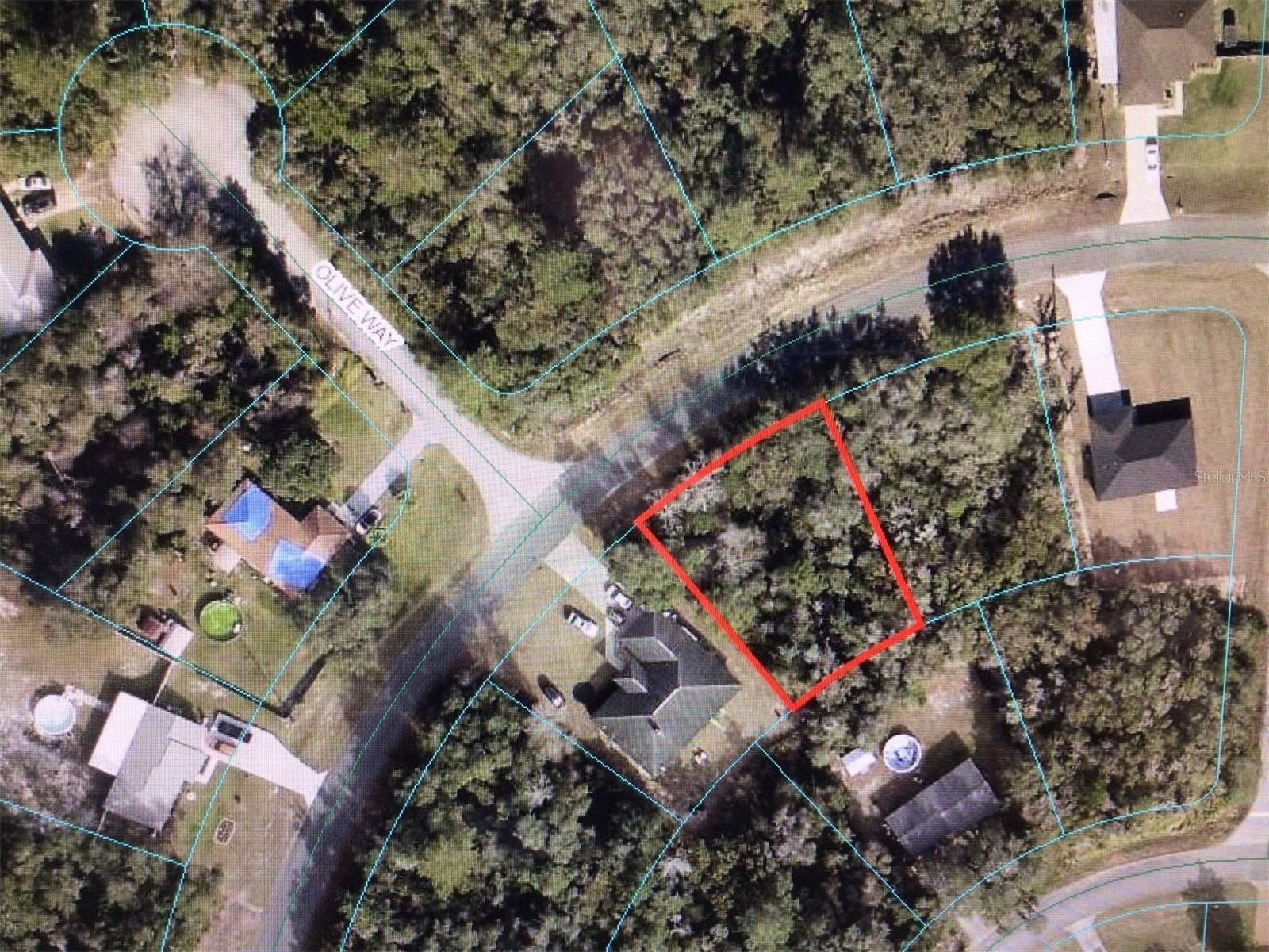 0 OLIVE RD, OCALA, FL, 34473