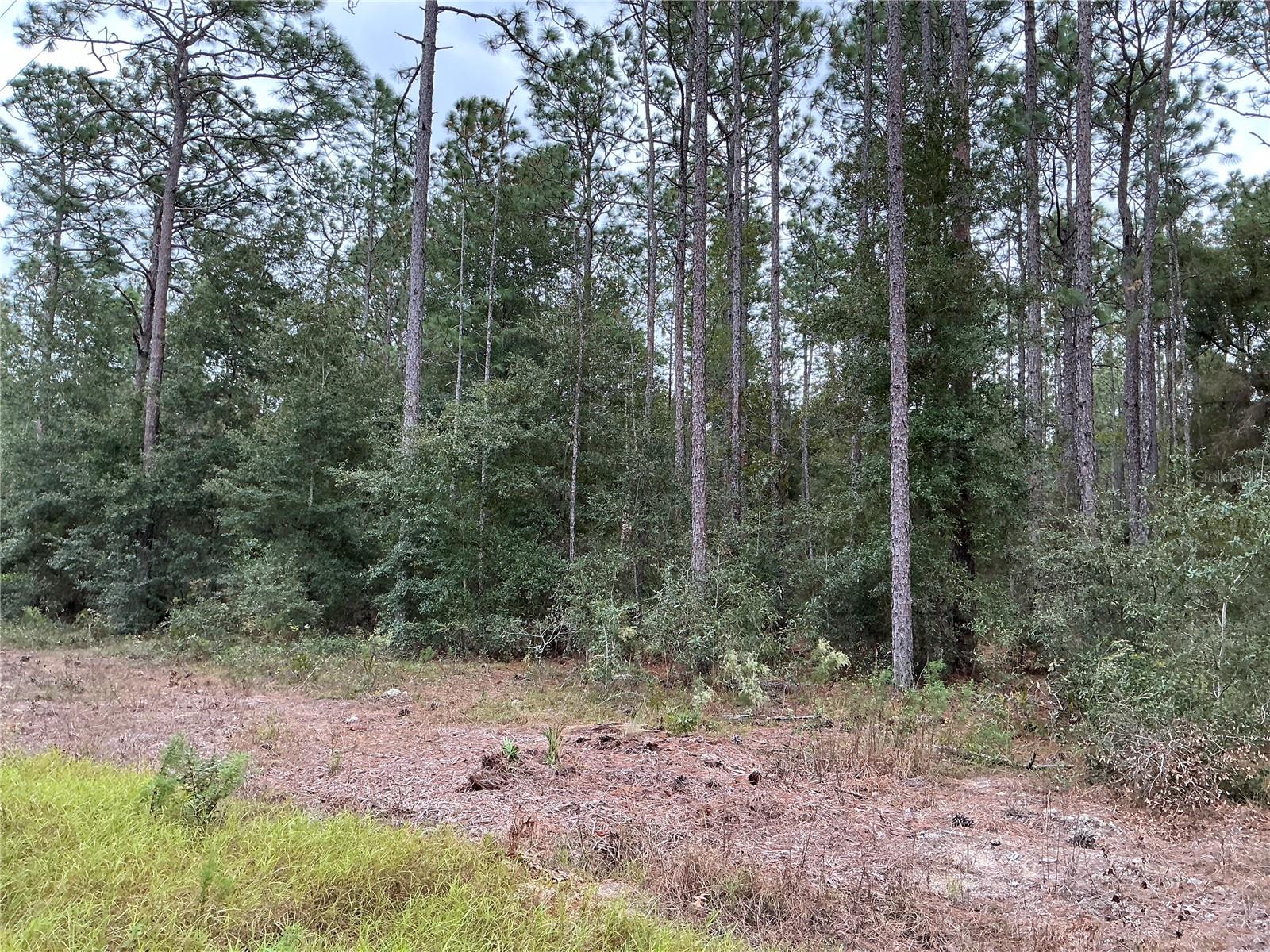 SW 29TH ST, OCALA, FL, 34481