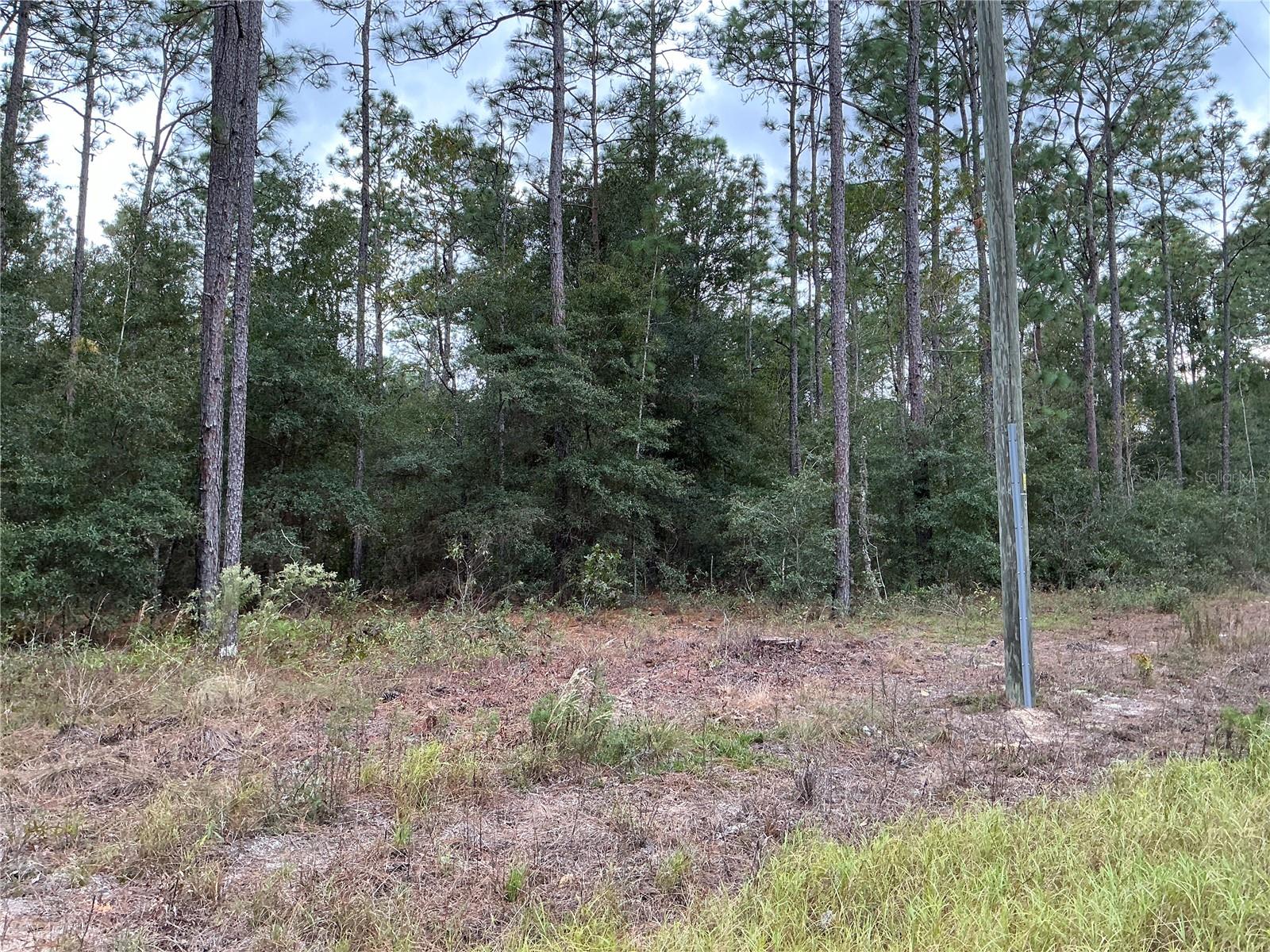 SW 29TH ST, OCALA, FL, 34481