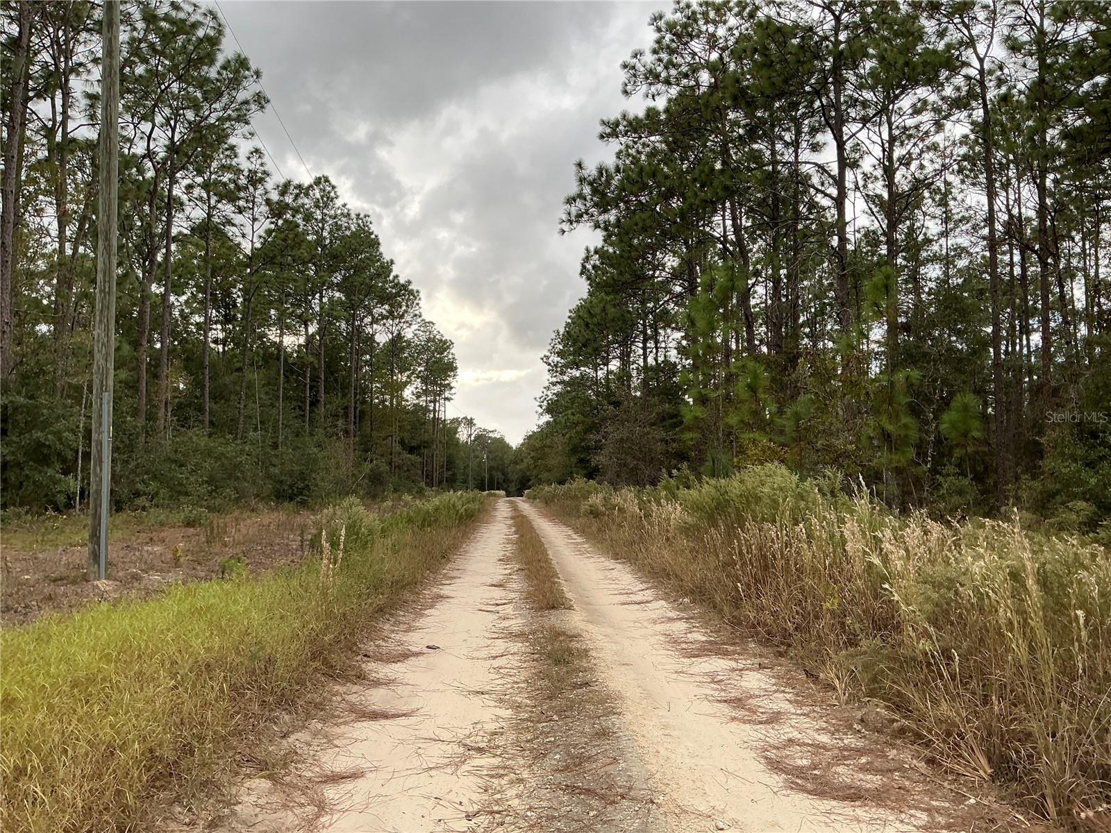 SW 29TH ST, OCALA, FL, 34481