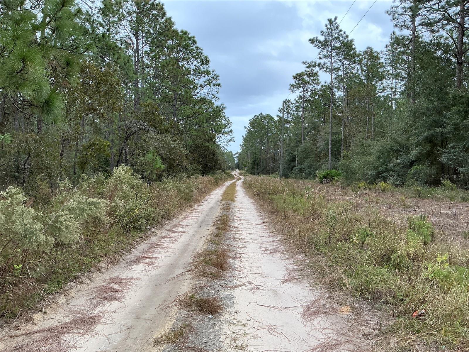 SW 29TH ST, OCALA, FL, 34481