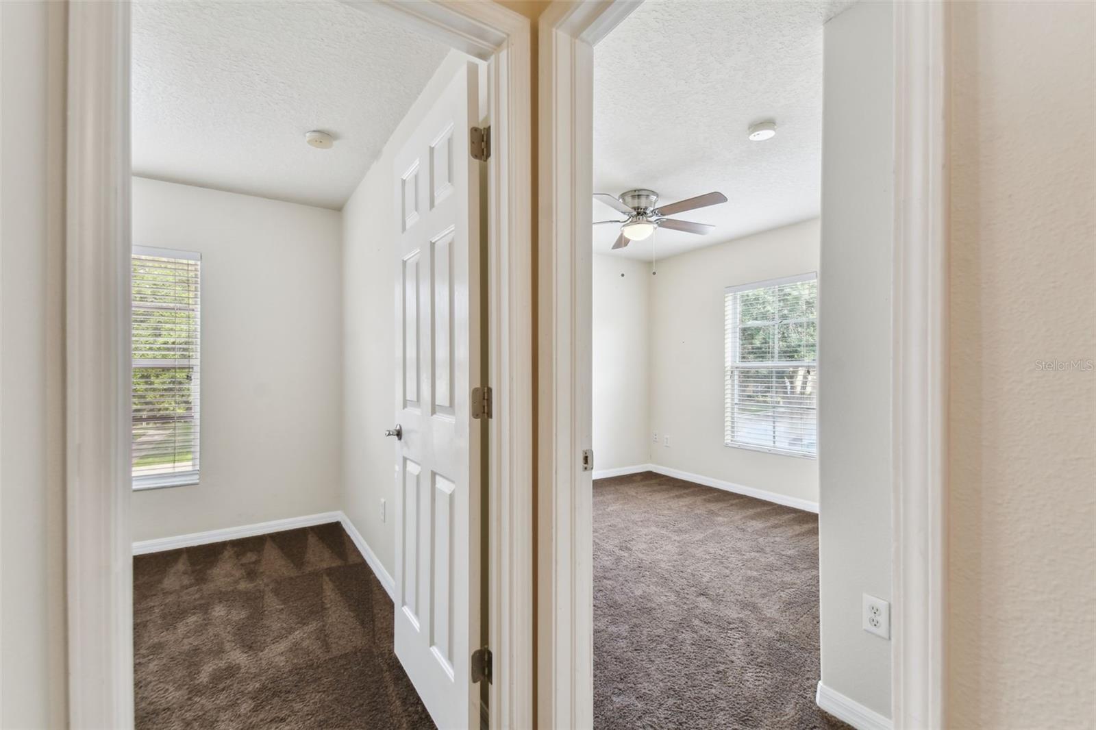 6262 MAISIE RD, ZEPHYRHILLS, FL, 33542