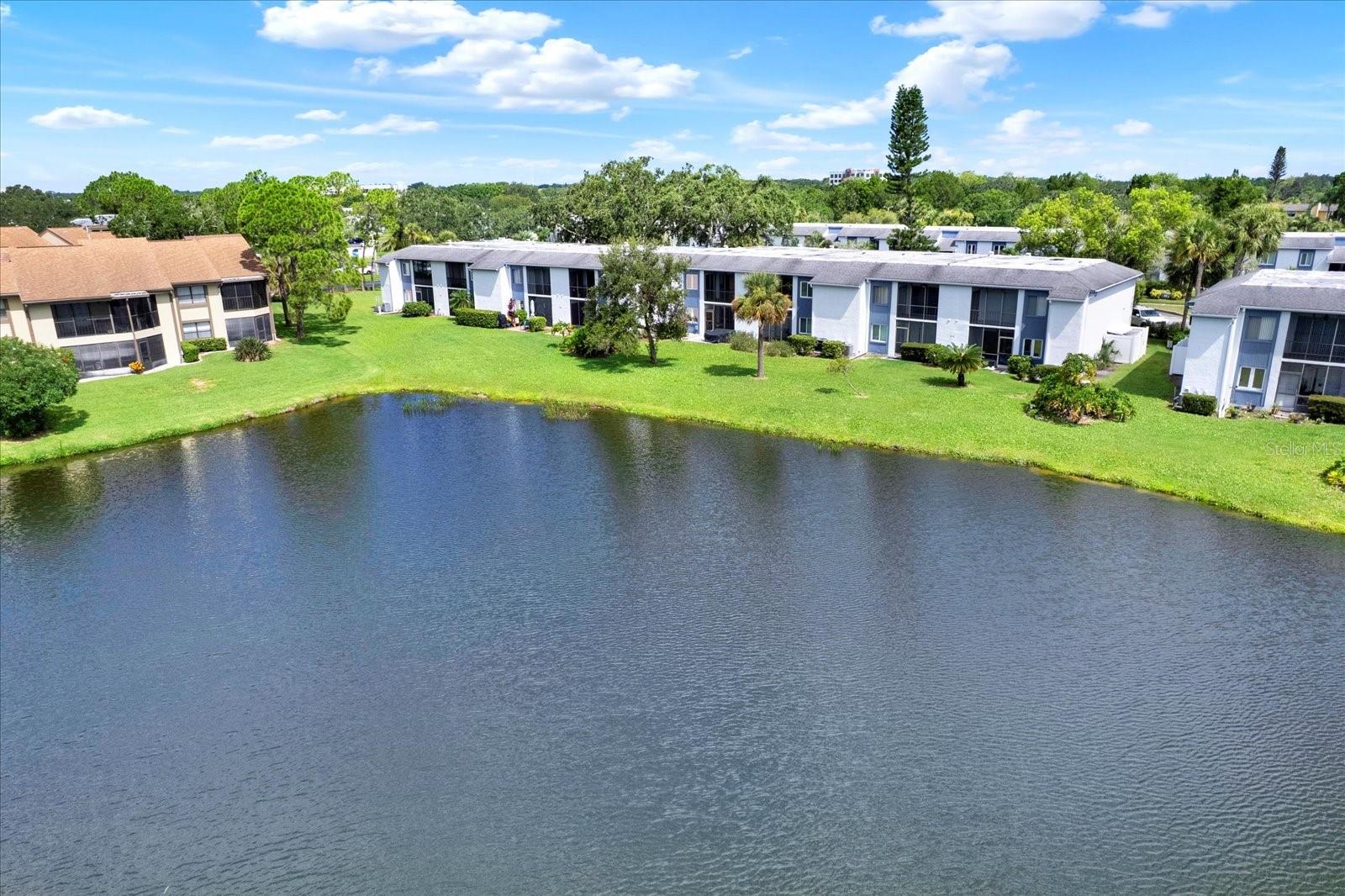 250 CYPRESS LN, OLDSMAR, FL, 34677