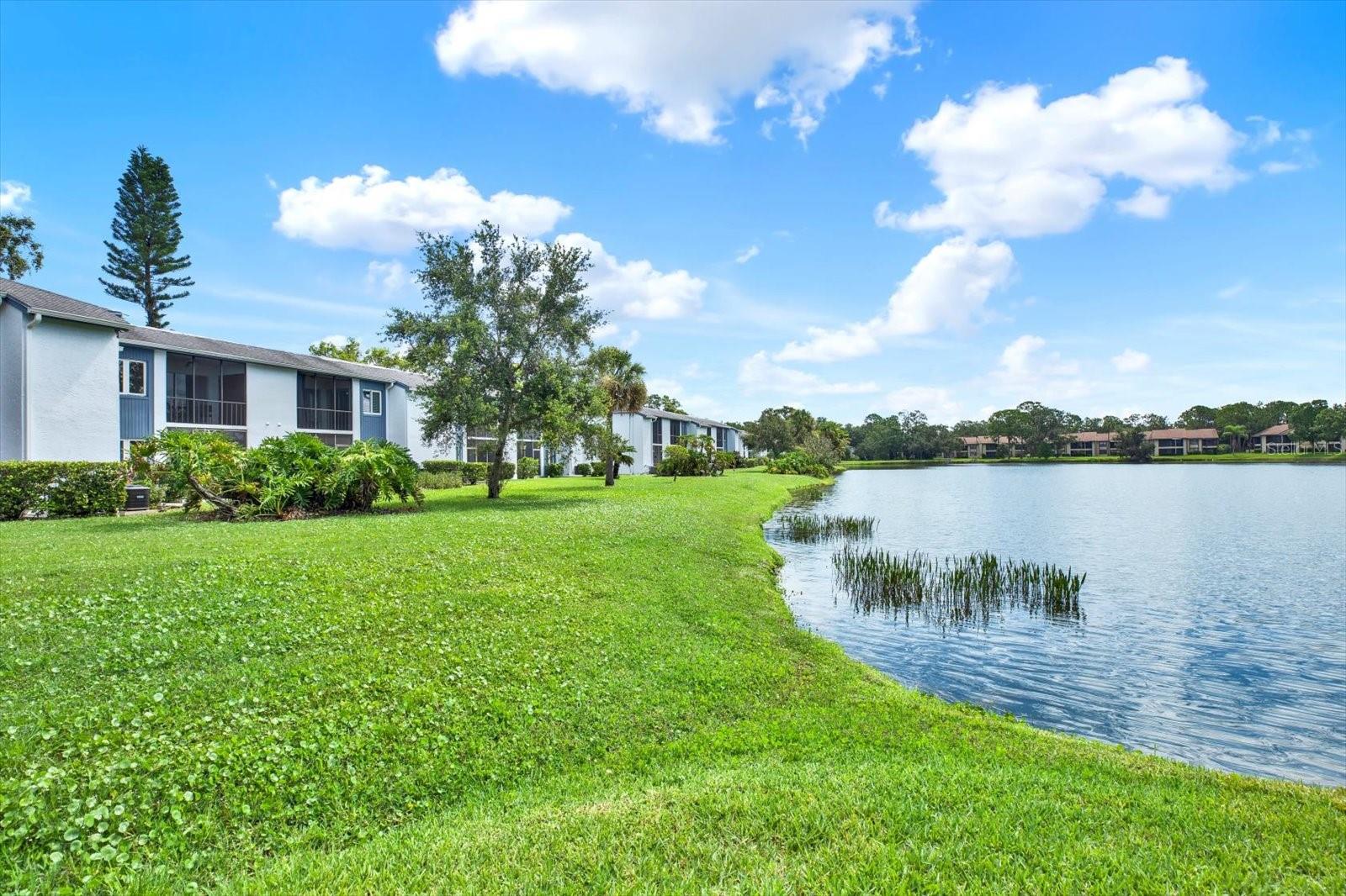 250 CYPRESS LN, OLDSMAR, FL, 34677