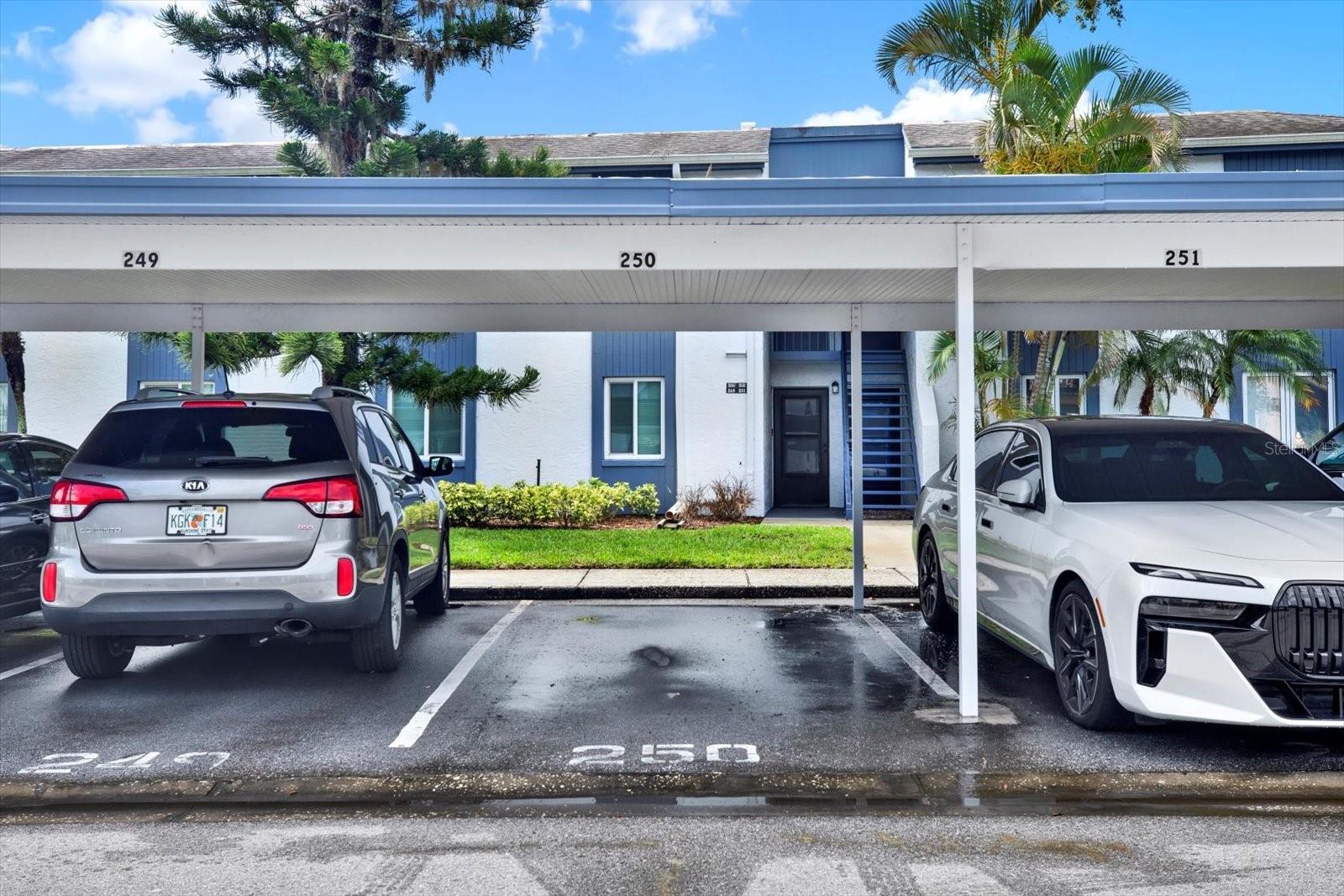 250 CYPRESS LN, OLDSMAR, FL, 34677