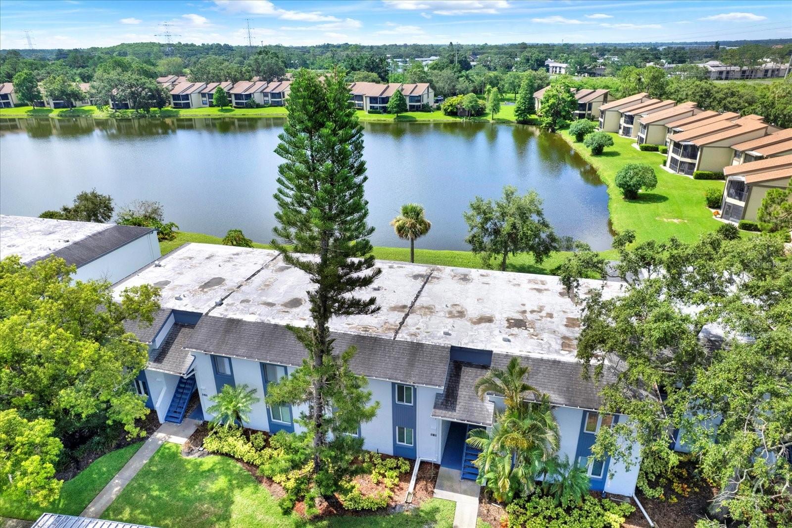 250 CYPRESS LN, OLDSMAR, FL, 34677