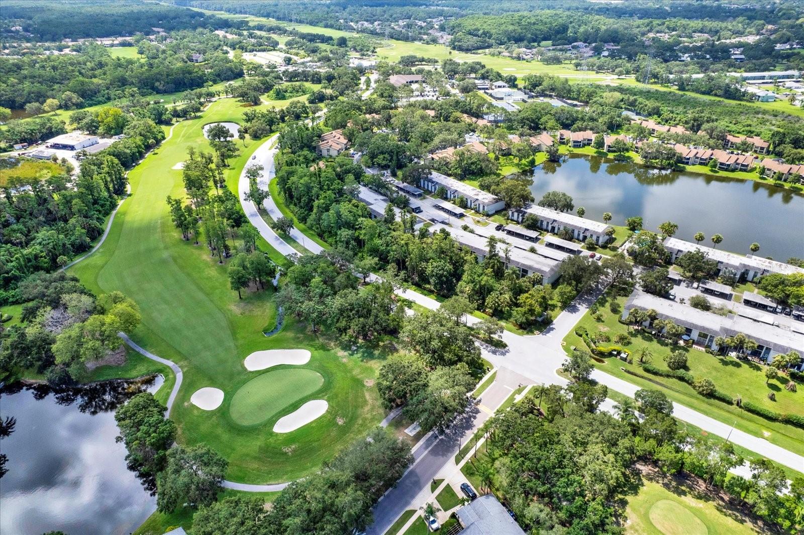 250 CYPRESS LN, OLDSMAR, FL, 34677