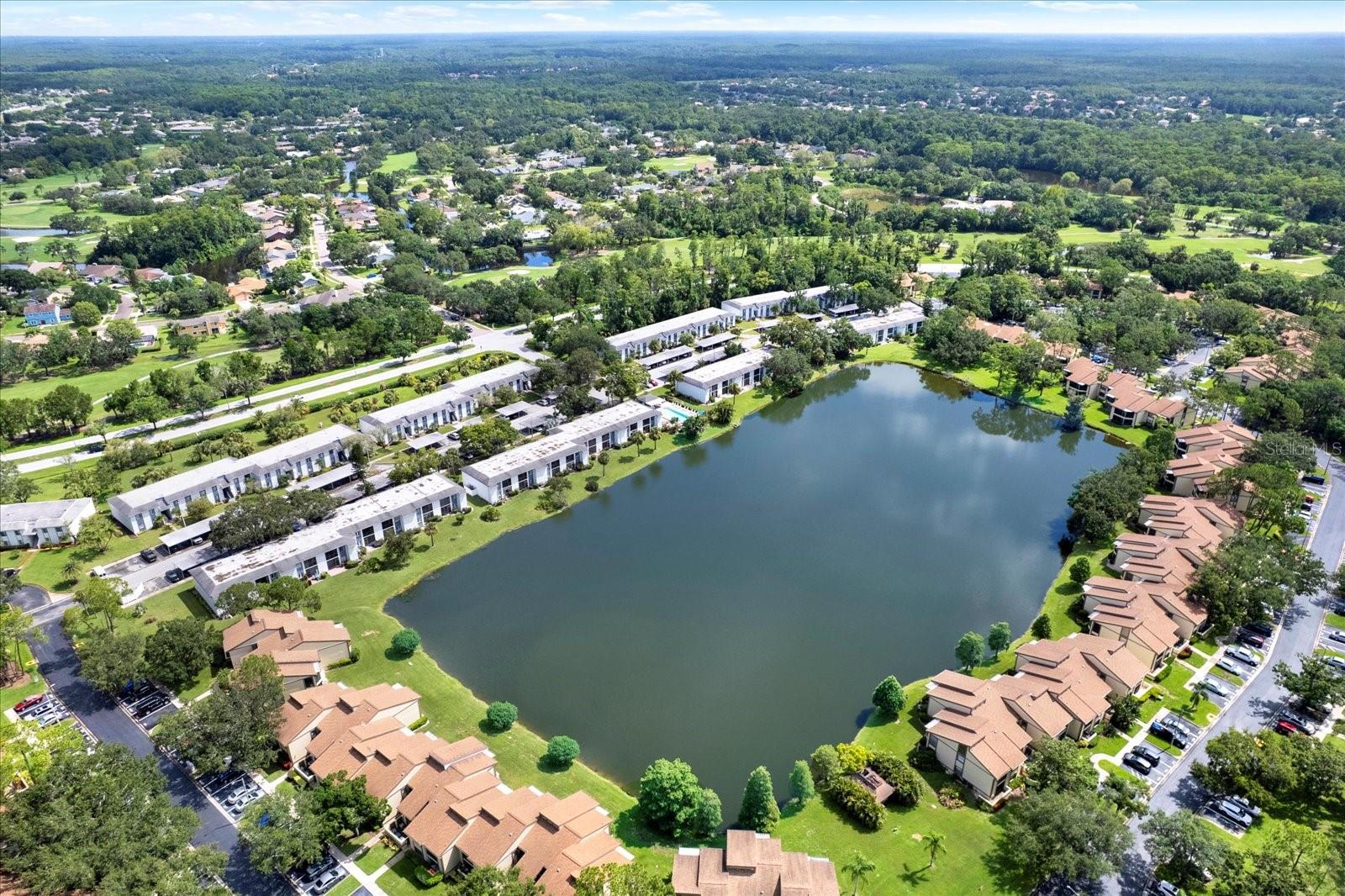 250 CYPRESS LN, OLDSMAR, FL, 34677