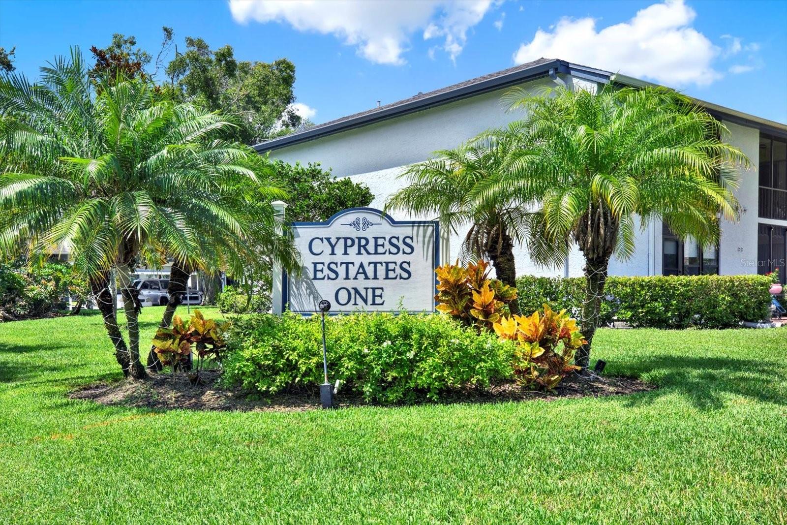 250 CYPRESS LN, OLDSMAR, FL, 34677
