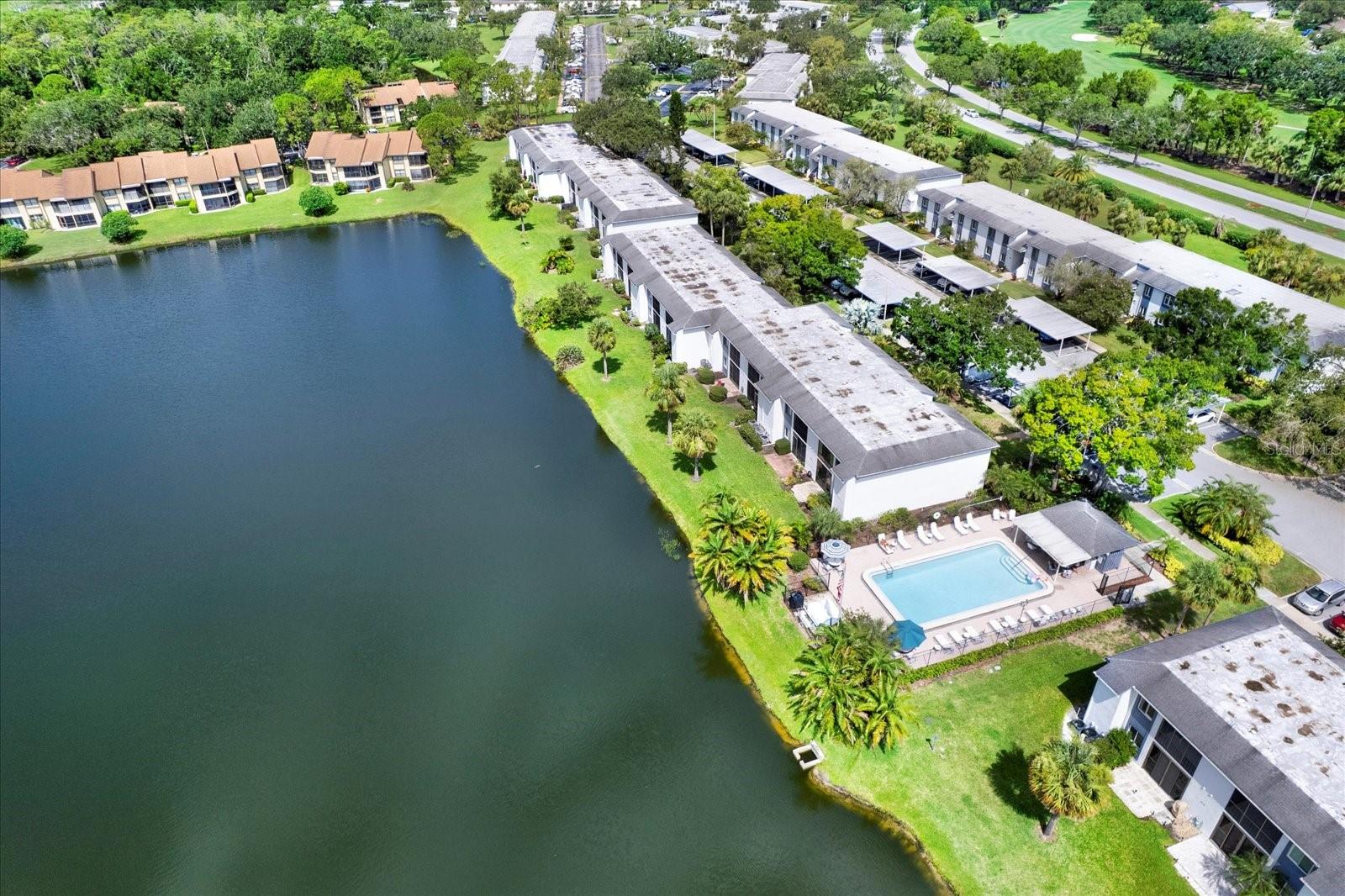 250 CYPRESS LN, OLDSMAR, FL, 34677