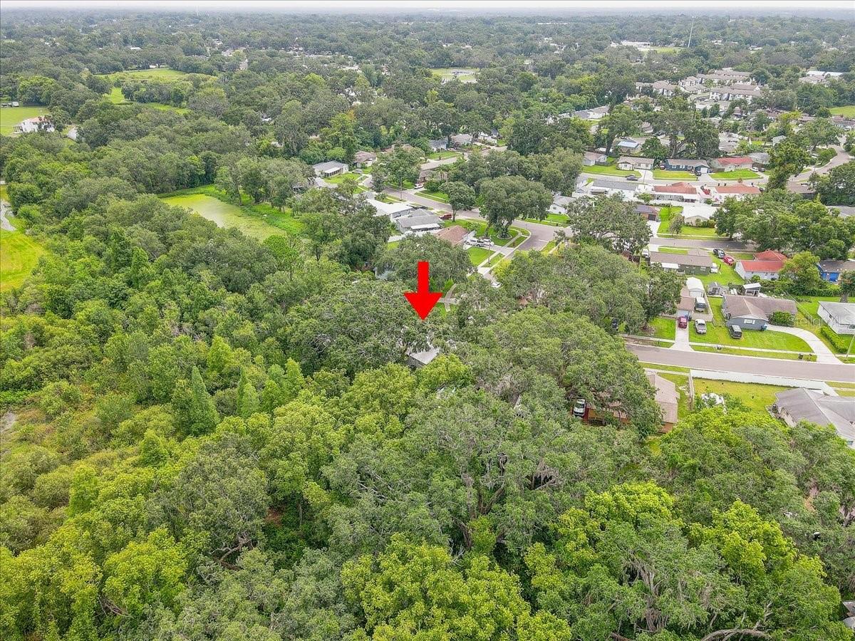 320 PHEASANT CIR, BRANDON, FL, 33510