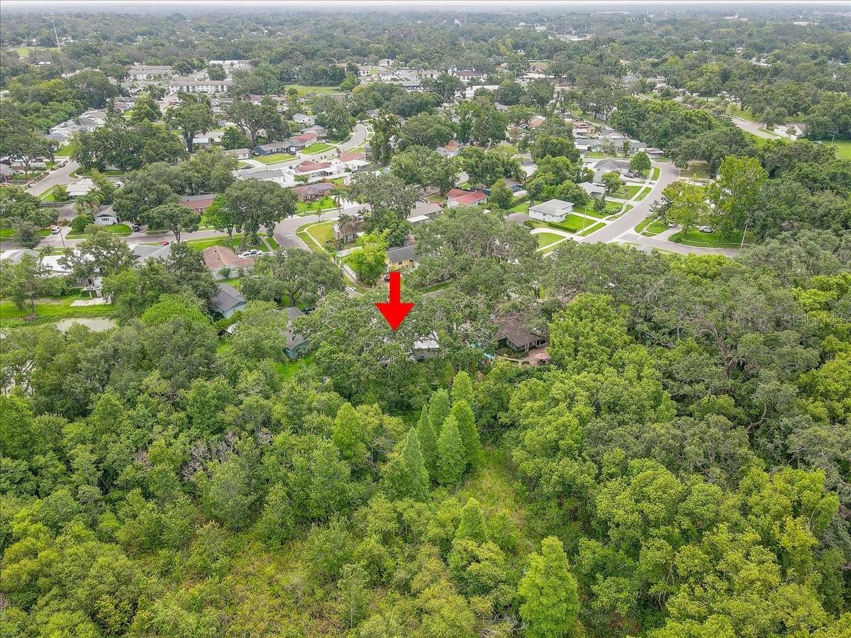 320 PHEASANT CIR, BRANDON, FL, 33510