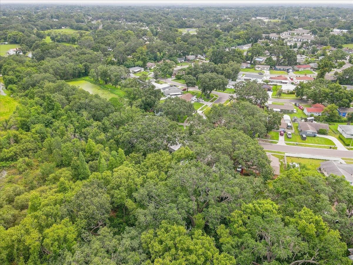 320 PHEASANT CIR, BRANDON, FL, 33510