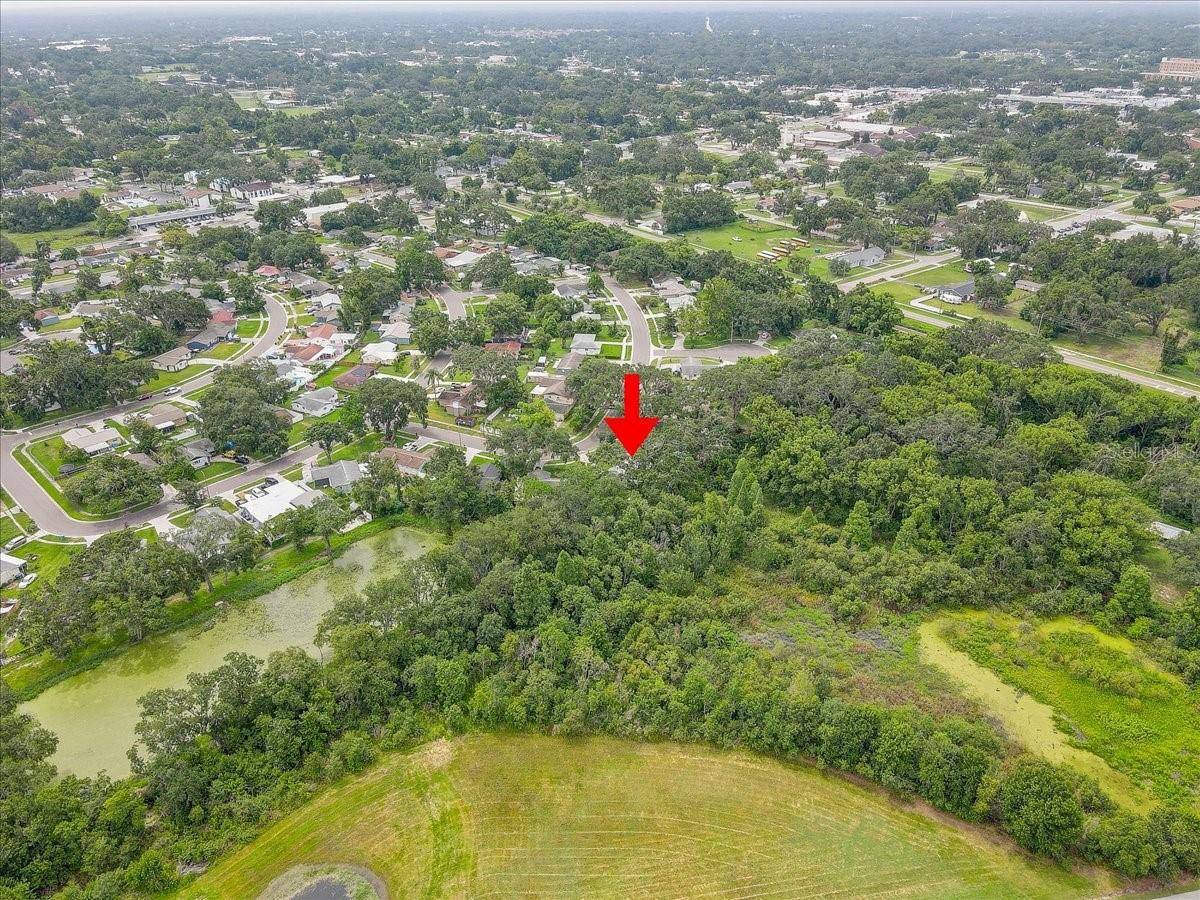 320 PHEASANT CIR, BRANDON, FL, 33510