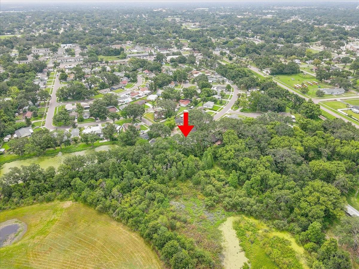 320 PHEASANT CIR, BRANDON, FL, 33510