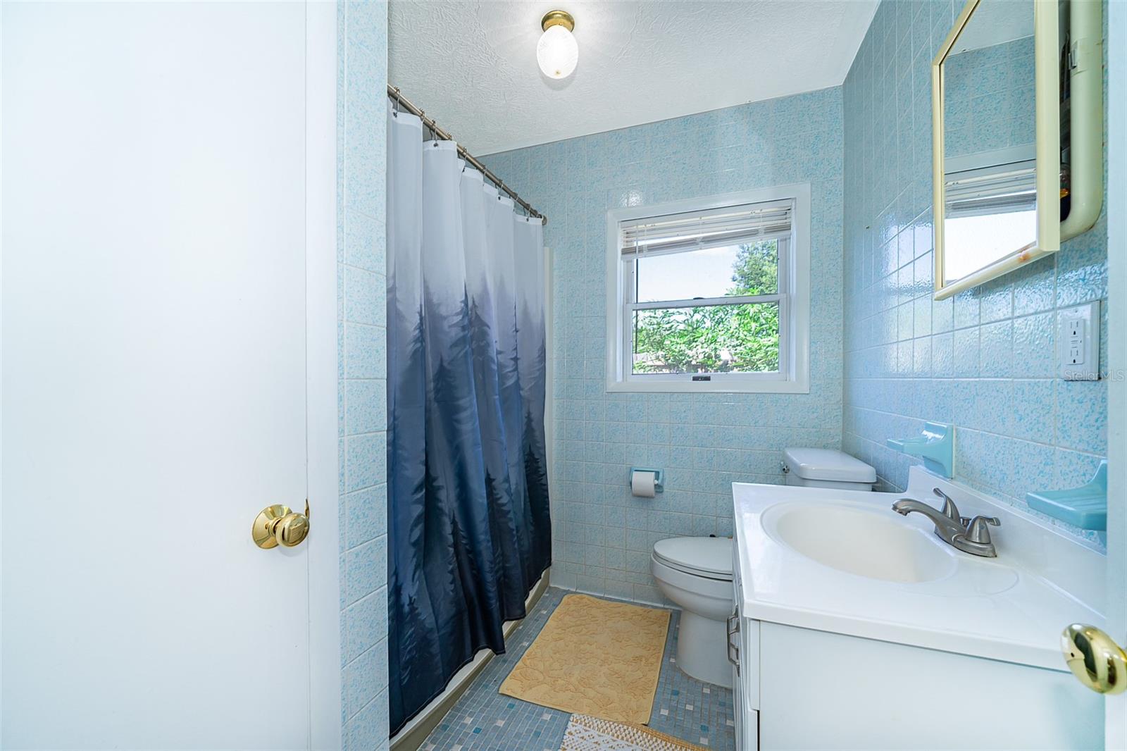 2187 PALMETTO RD, MOUNT DORA, FL, 32757