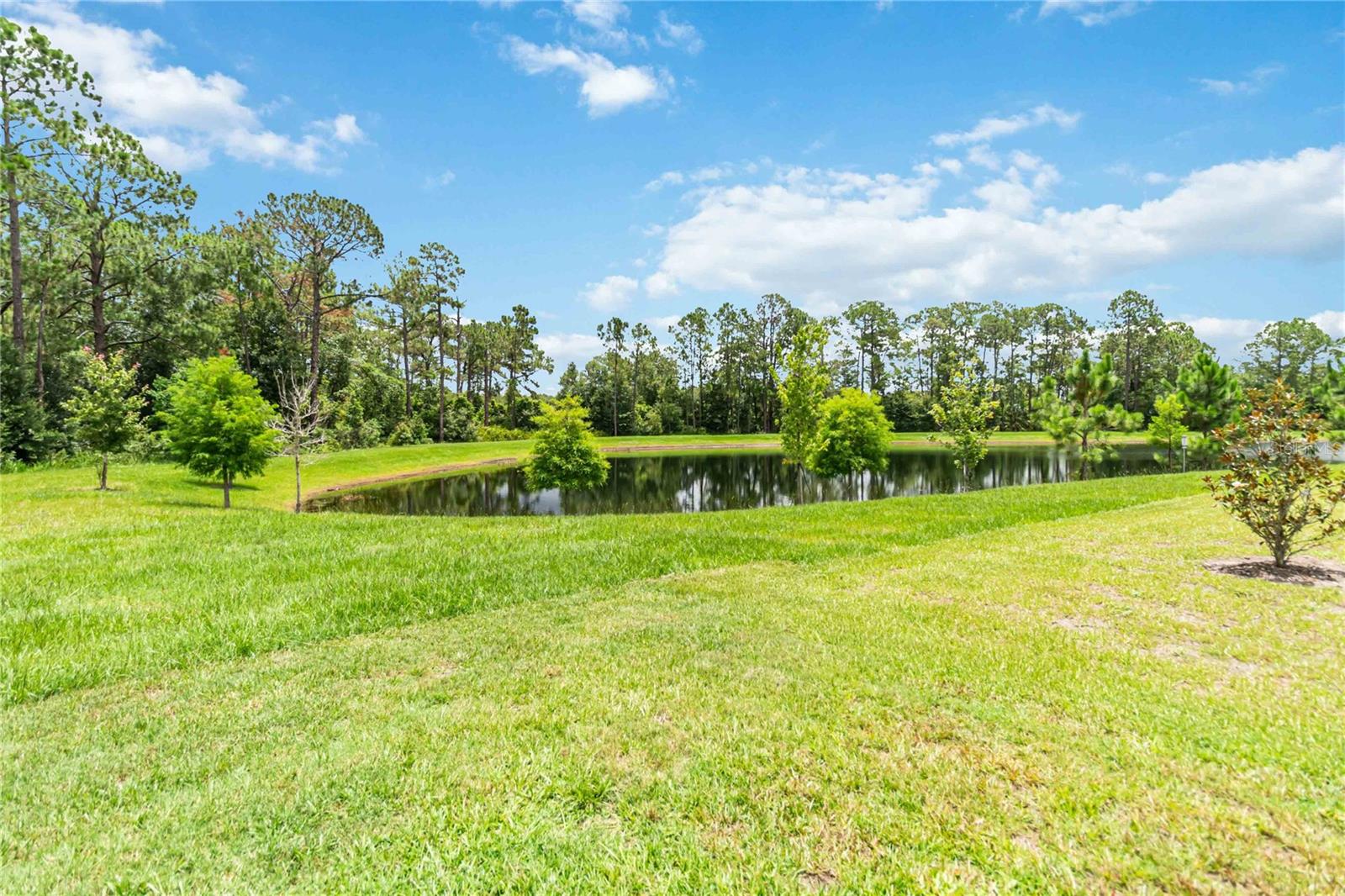 16400 WINDING PRESERVE CIR, CLERMONT, FL, 34714
