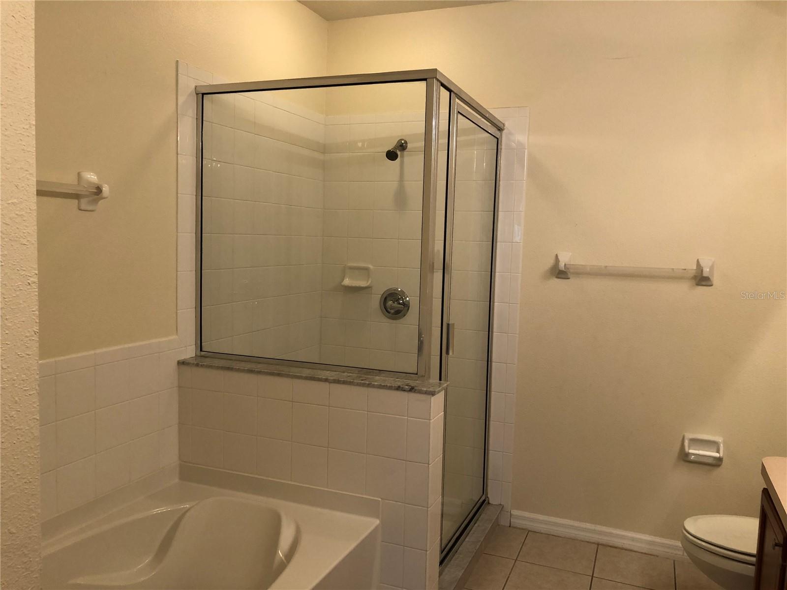 9817 CARLSDALE DR, RIVERVIEW, FL, 33578