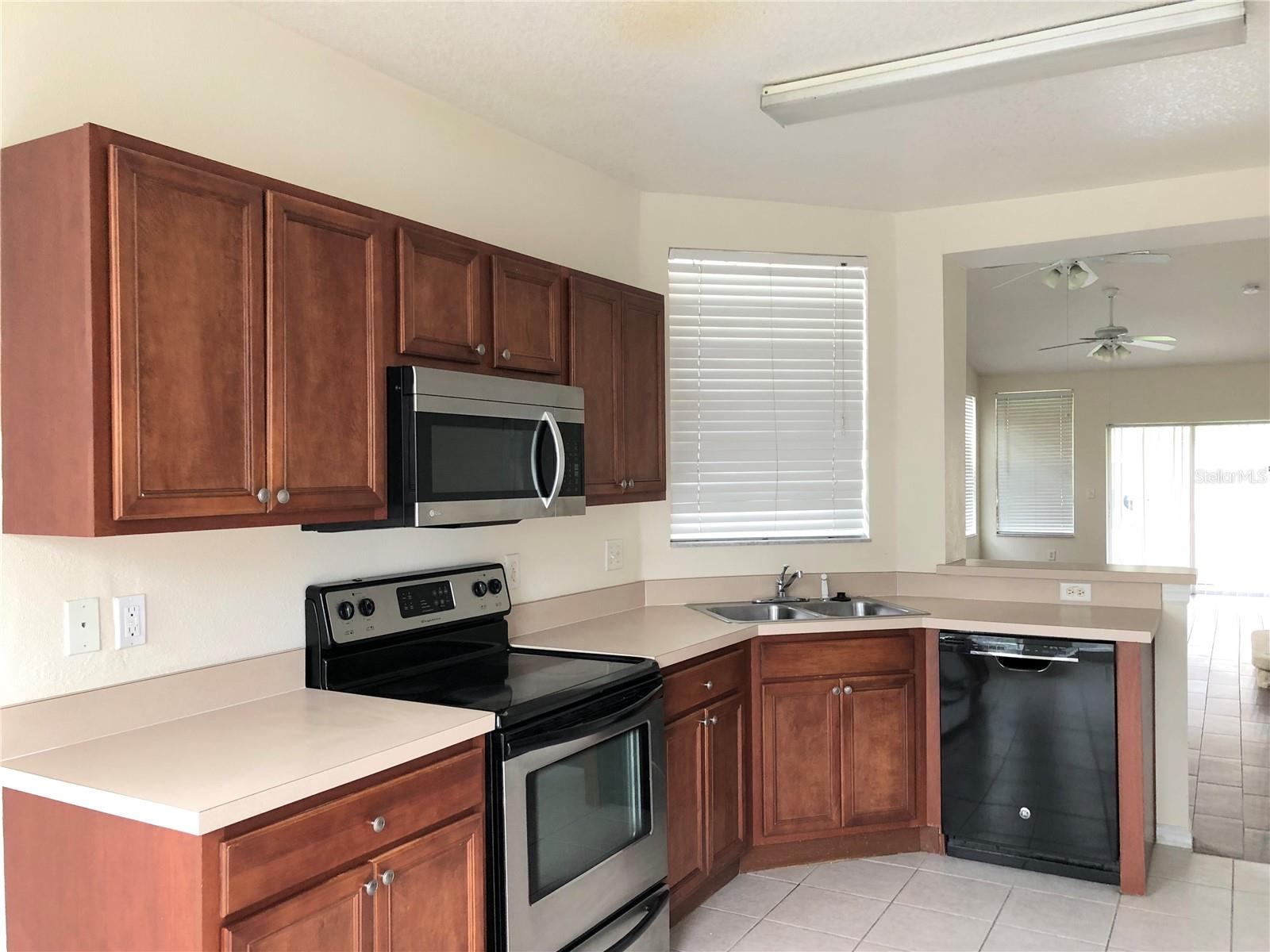 9817 CARLSDALE DR, RIVERVIEW, FL, 33578