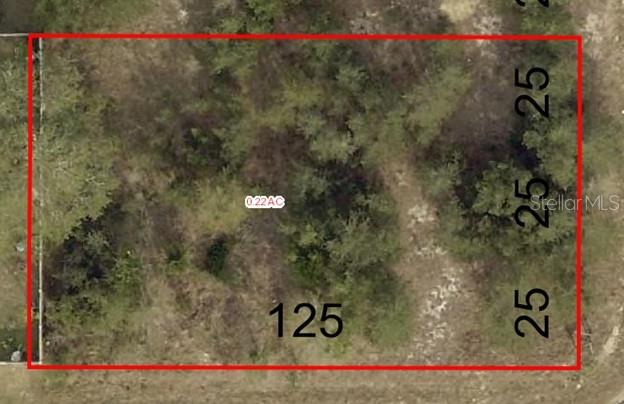 000 SE 88TH AVE, SUMMERFIELD, FL, 34491