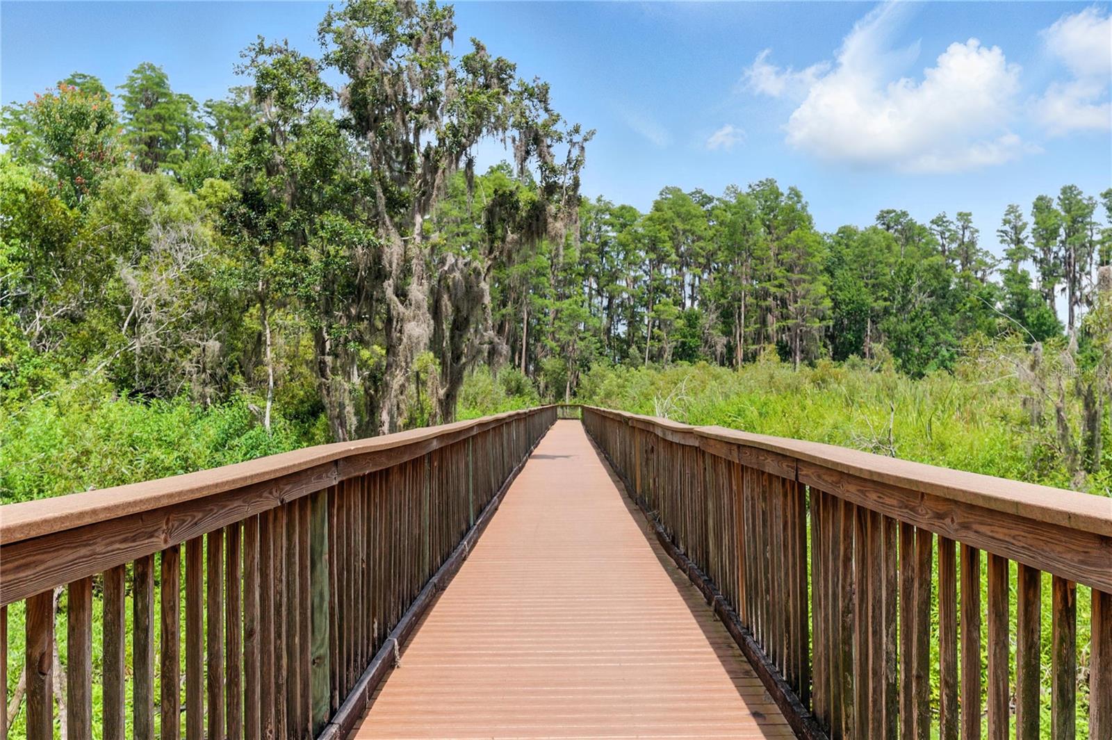 21049 SKI WAY, LAND O LAKES, FL, 34638