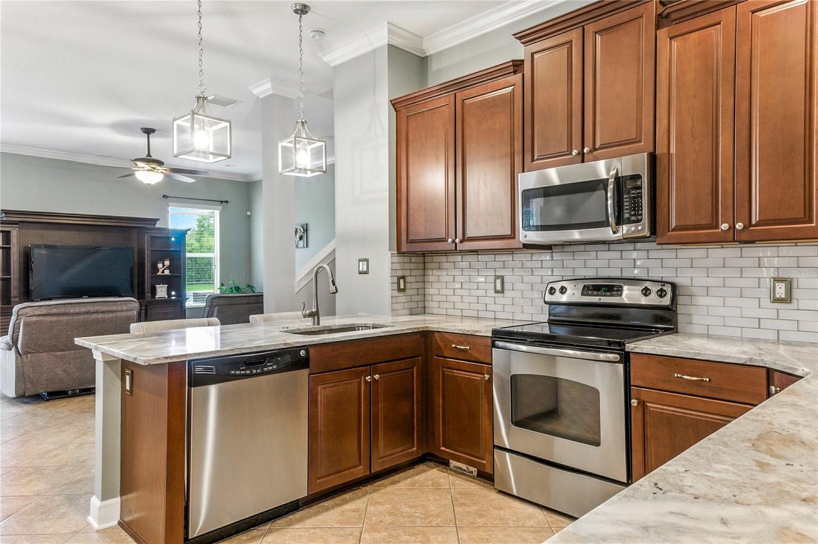 21049 SKI WAY, LAND O LAKES, FL, 34638