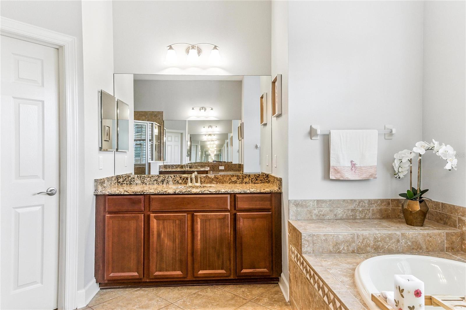 21049 SKI WAY, LAND O LAKES, FL, 34638