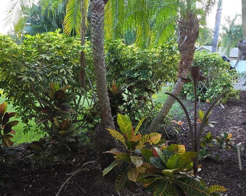 11932 99TH AVE AVE N, SEMINOLE, FL, 33772