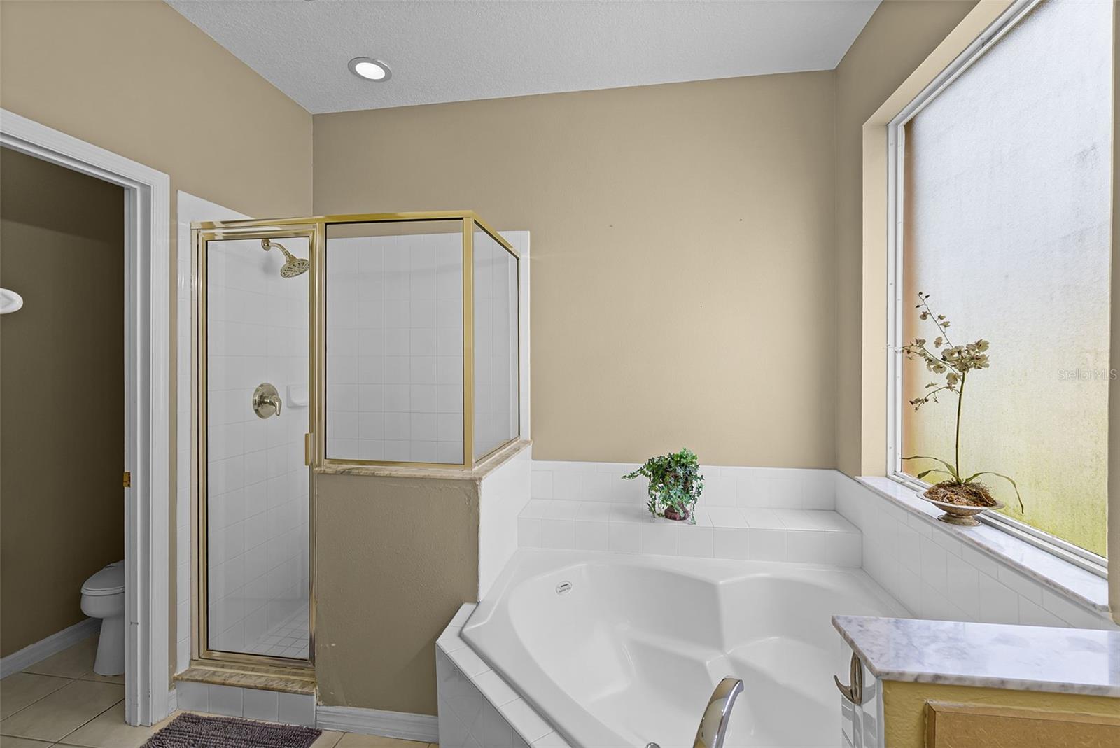 155 HIDEAWAY BEACH LN, KISSIMMEE, FL, 34746