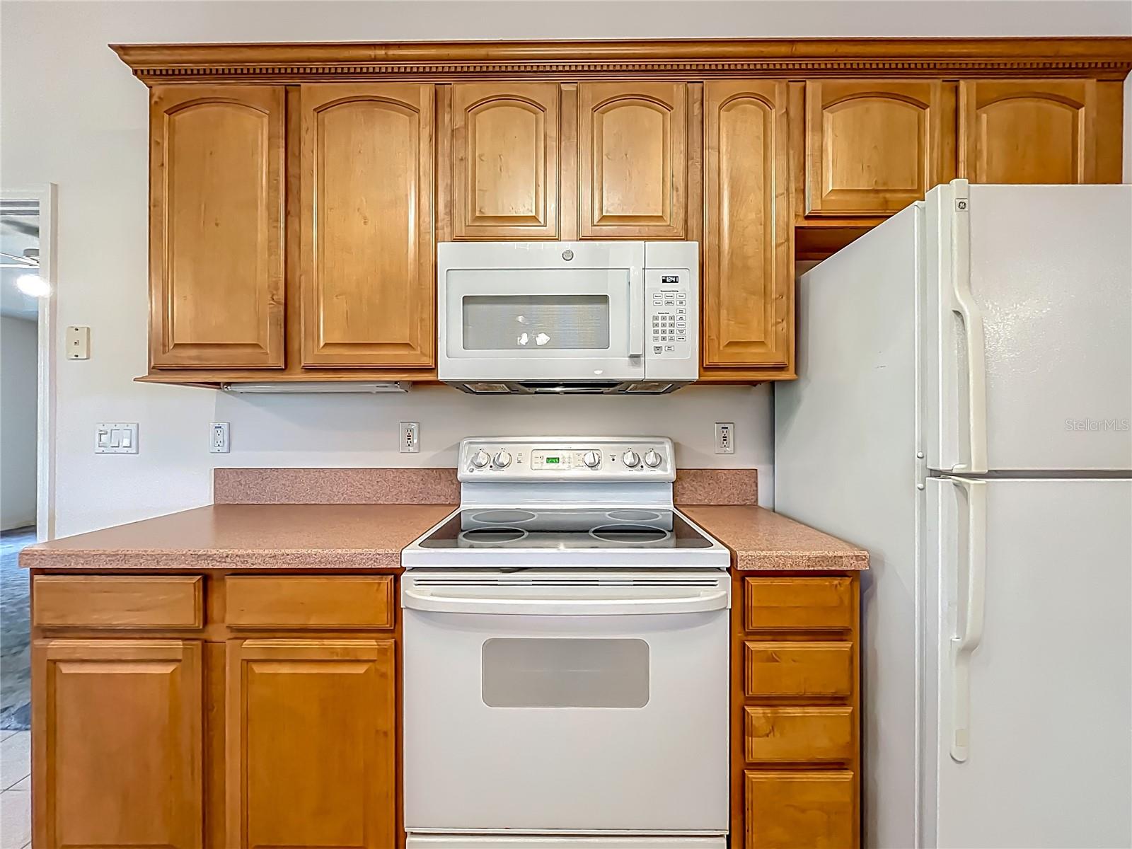 16634 PINE TIMBER AVE, MONTVERDE, FL, 34756