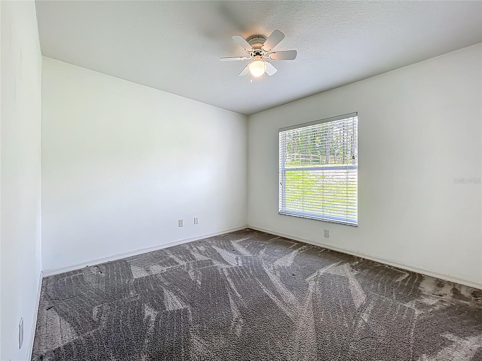 16634 PINE TIMBER AVE, MONTVERDE, FL, 34756