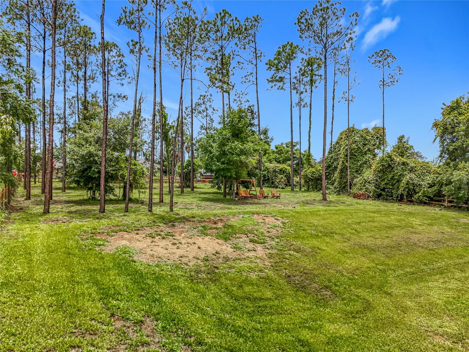 16634 PINE TIMBER AVE, MONTVERDE, FL, 34756