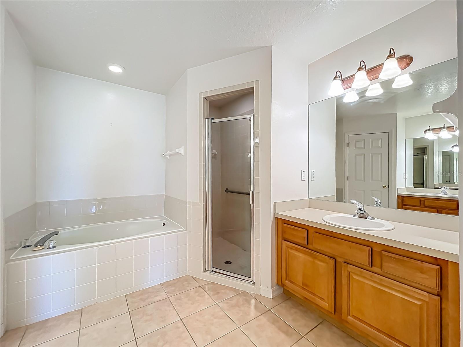 16634 PINE TIMBER AVE, MONTVERDE, FL, 34756