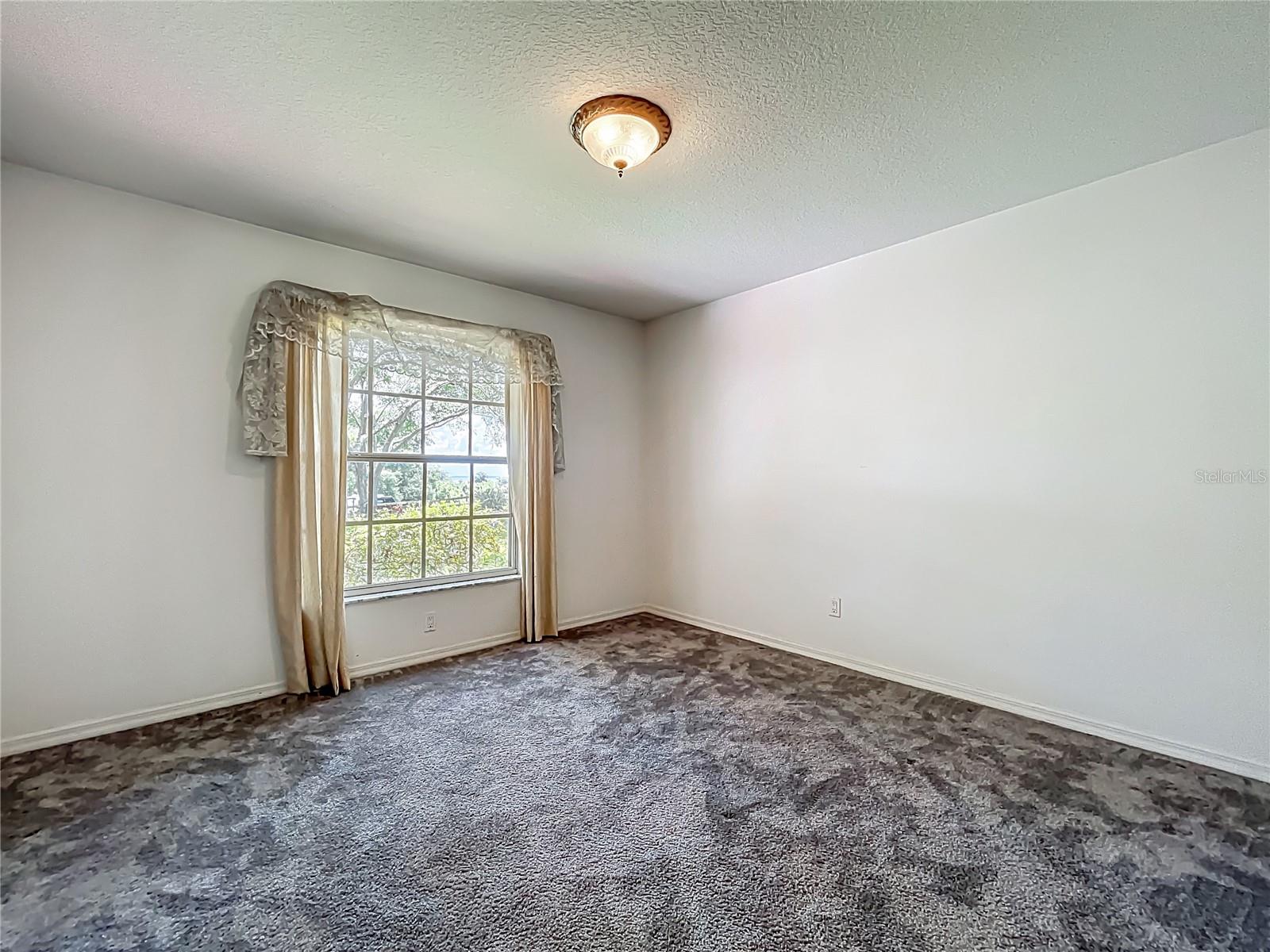 16634 PINE TIMBER AVE, MONTVERDE, FL, 34756