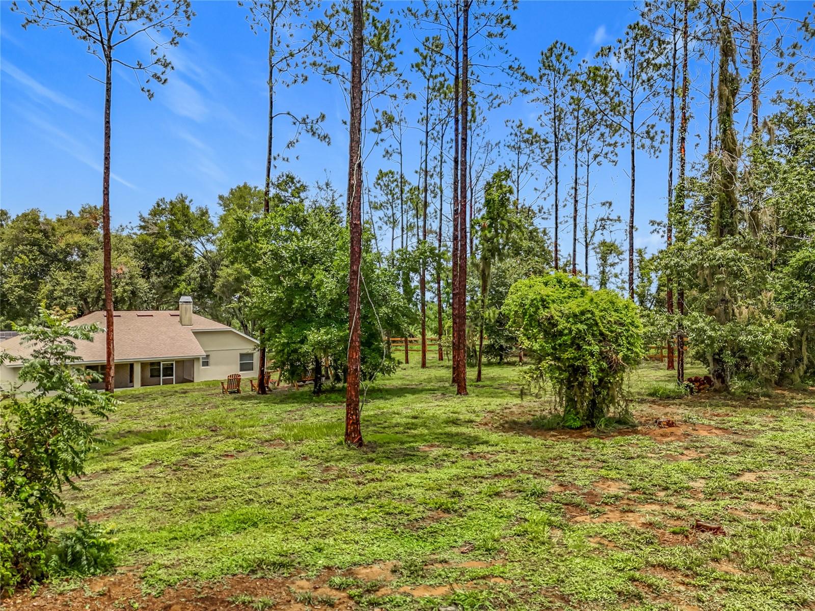 16634 PINE TIMBER AVE, MONTVERDE, FL, 34756