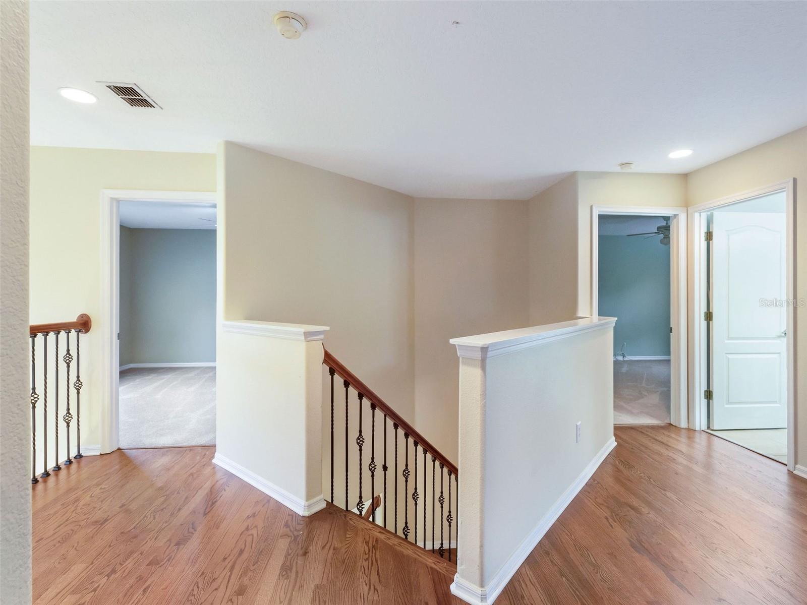 3617 HADDINGTON CT, APOPKA, FL, 32712