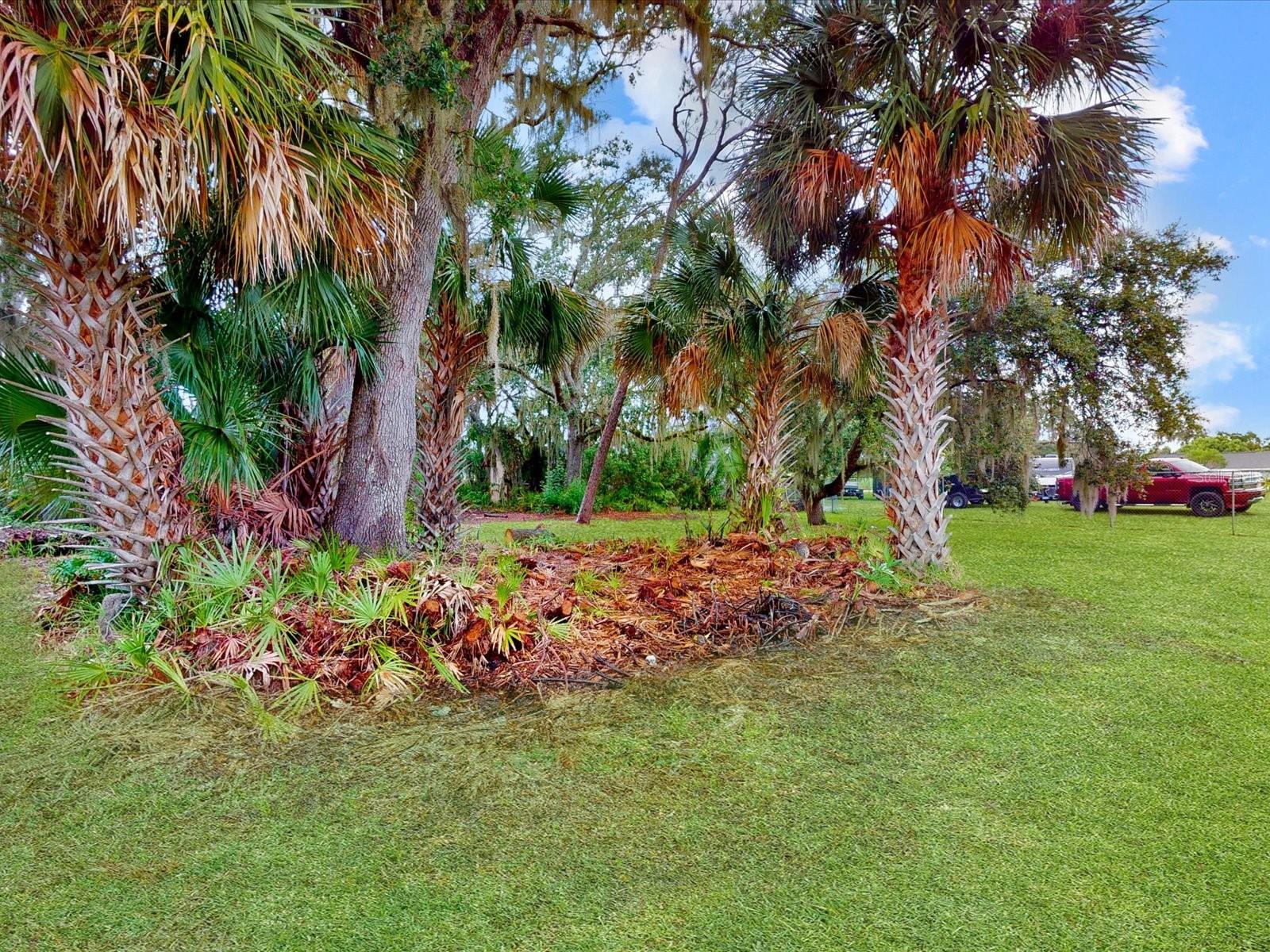 1710 BIG OAK LN, KISSIMMEE, FL, 34746