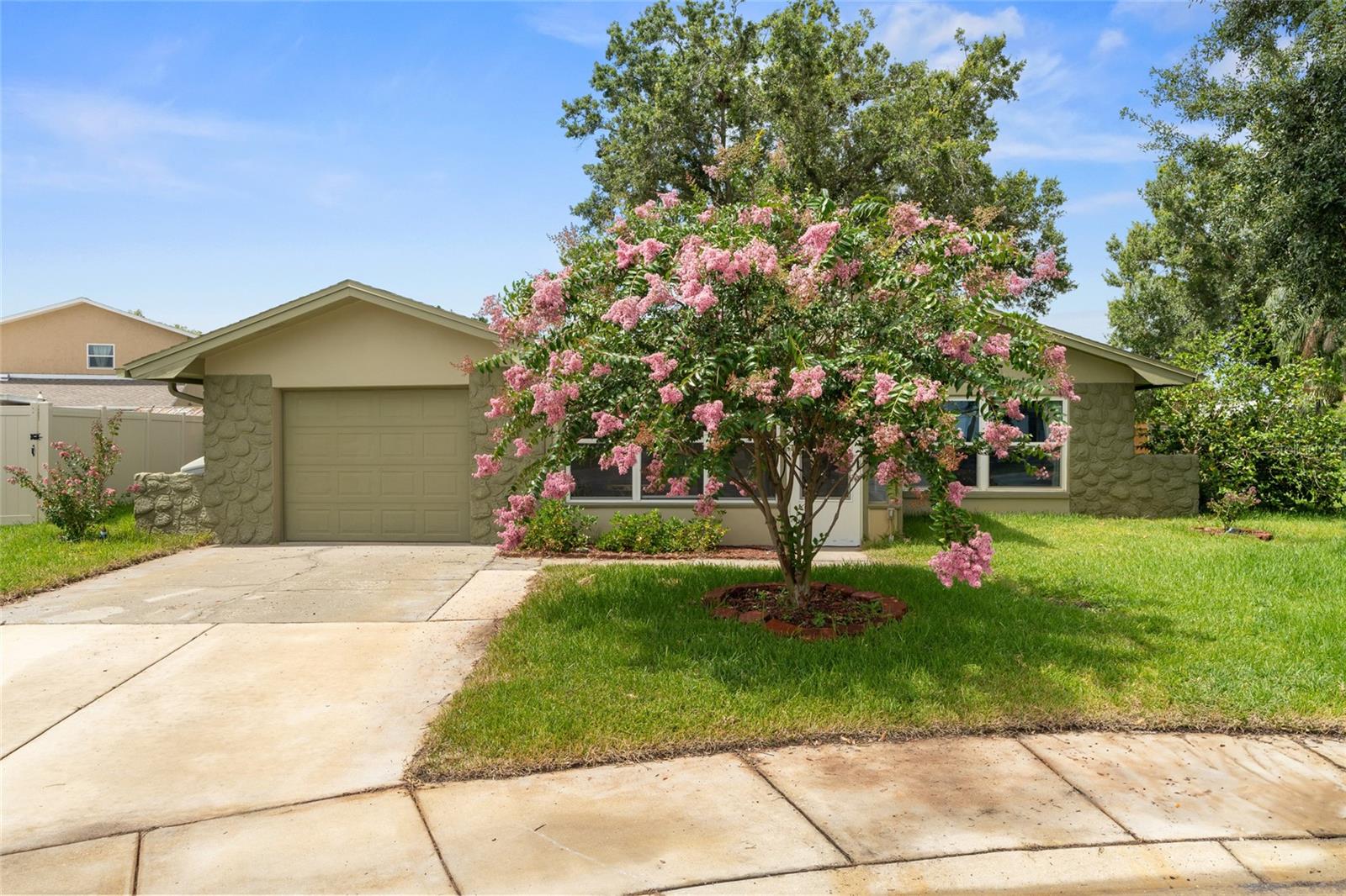 1811 HIBISCUS CT S, OLDSMAR, FL, 34677